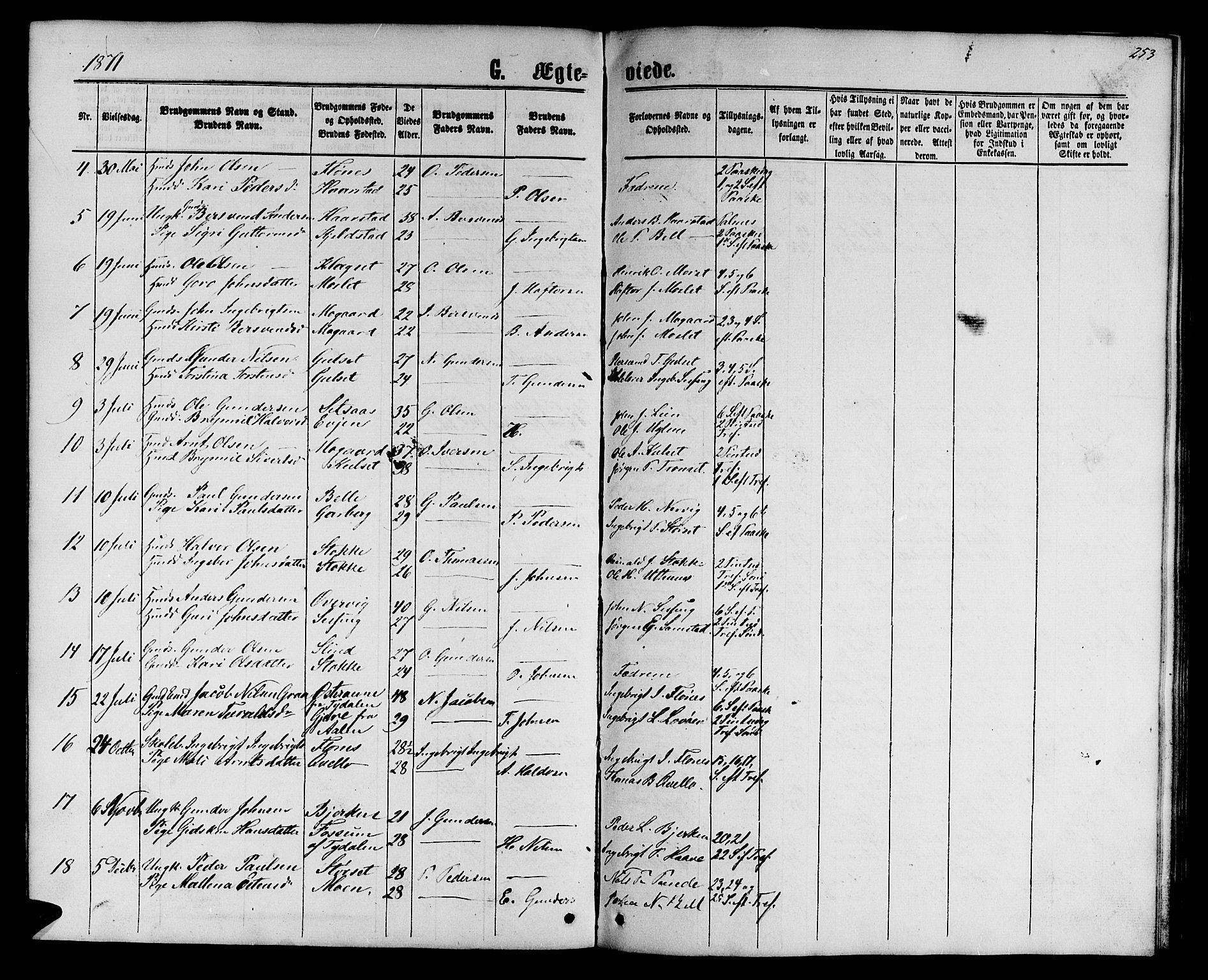 Ministerialprotokoller, klokkerbøker og fødselsregistre - Sør-Trøndelag, SAT/A-1456/695/L1156: Parish register (copy) no. 695C07, 1869-1888, p. 253
