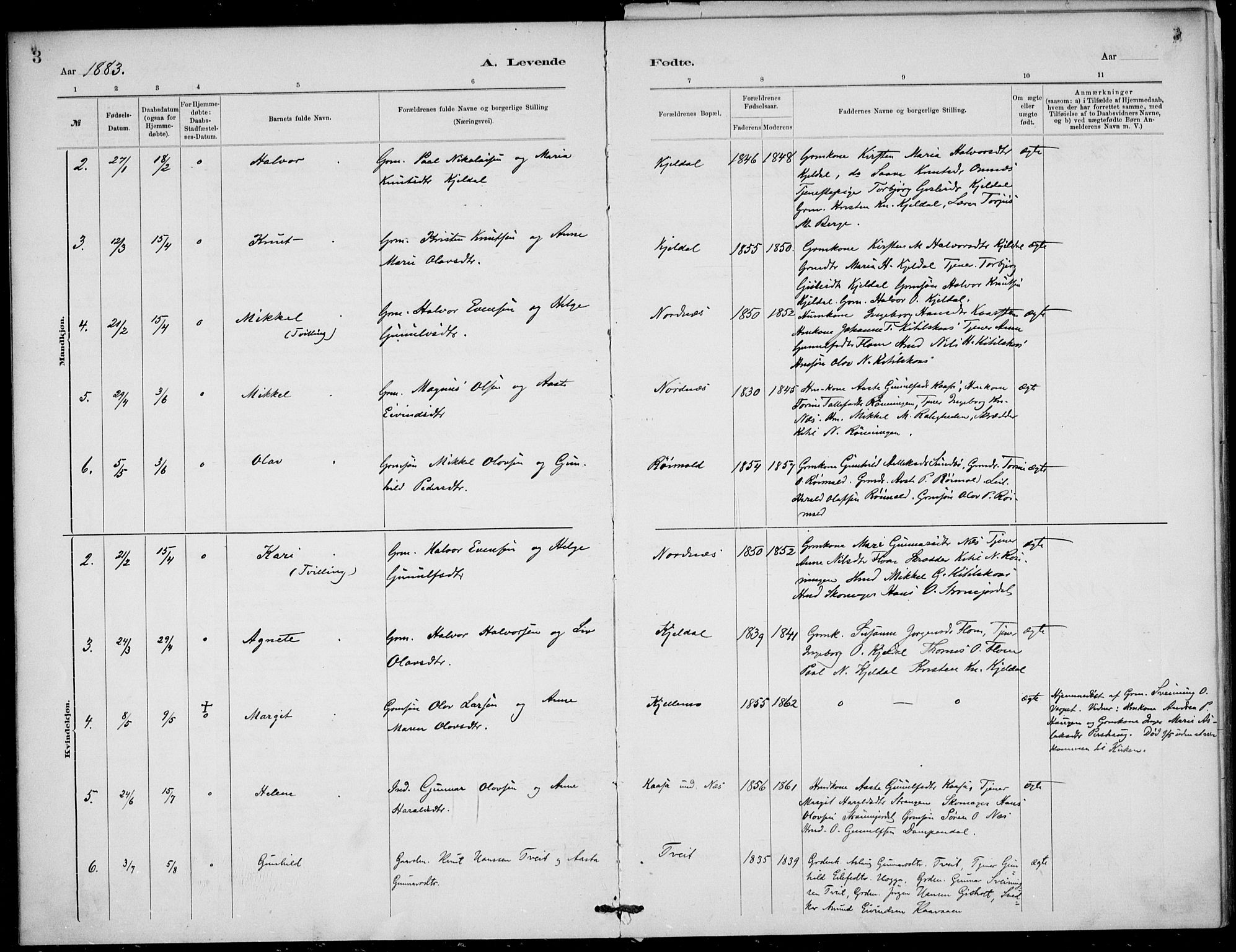 Lunde kirkebøker, SAKO/A-282/F/Fb/L0003: Parish register (official) no. II 3, 1882-1891, p. 2