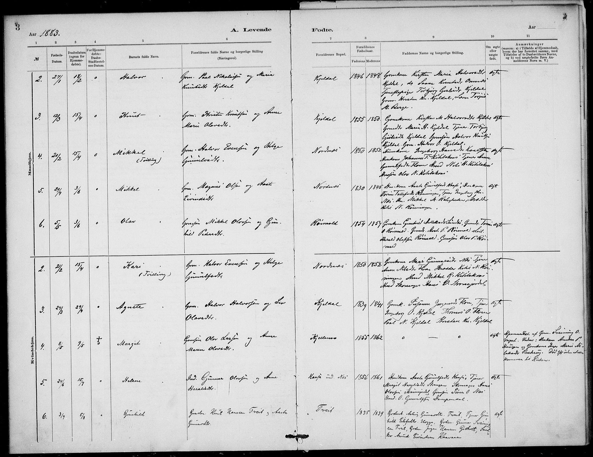 Lunde kirkebøker, AV/SAKO-A-282/F/Fb/L0003: Parish register (official) no. II 3, 1882-1891, p. 2