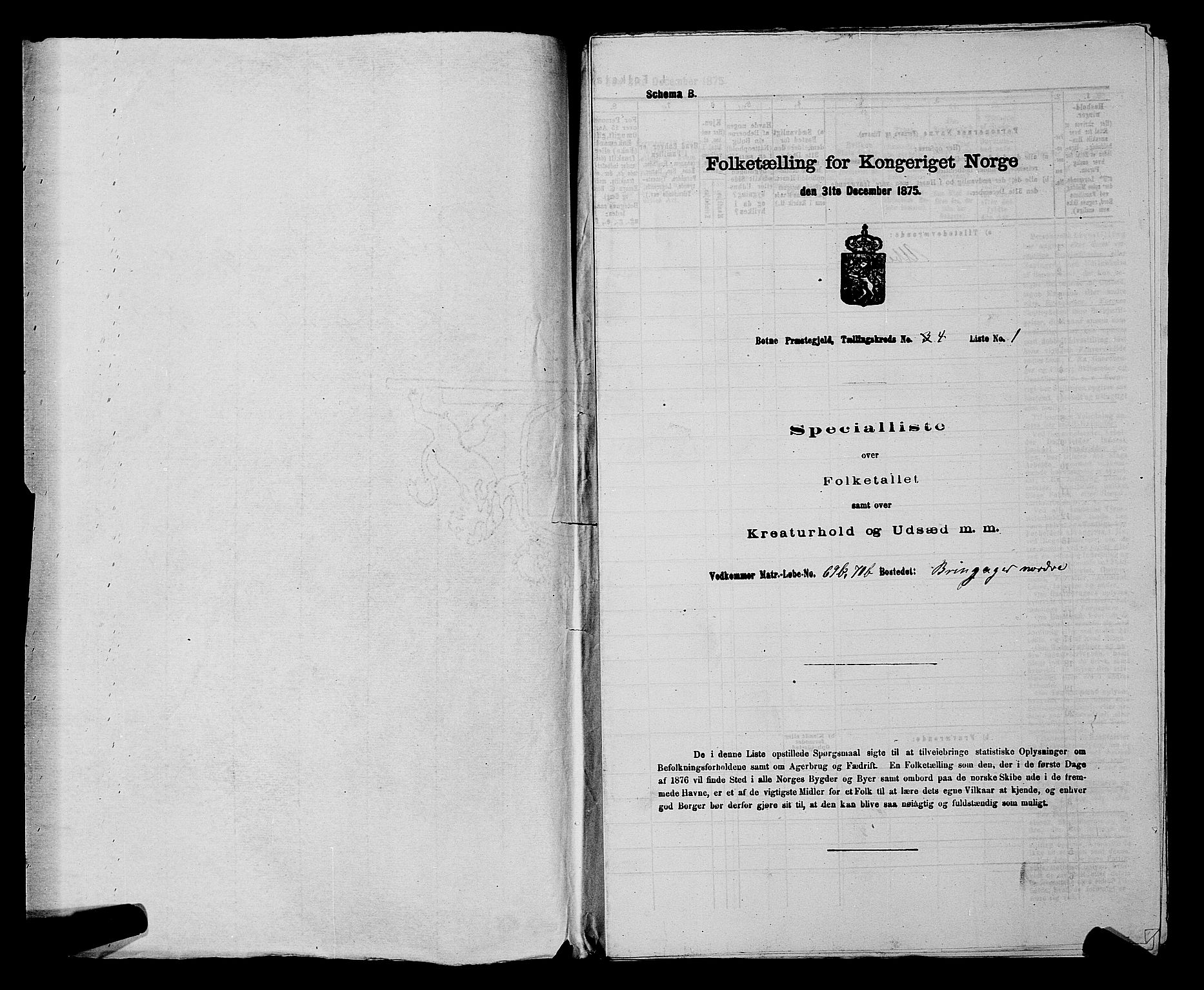 SAKO, 1875 census for 0715P Botne, 1875, p. 316