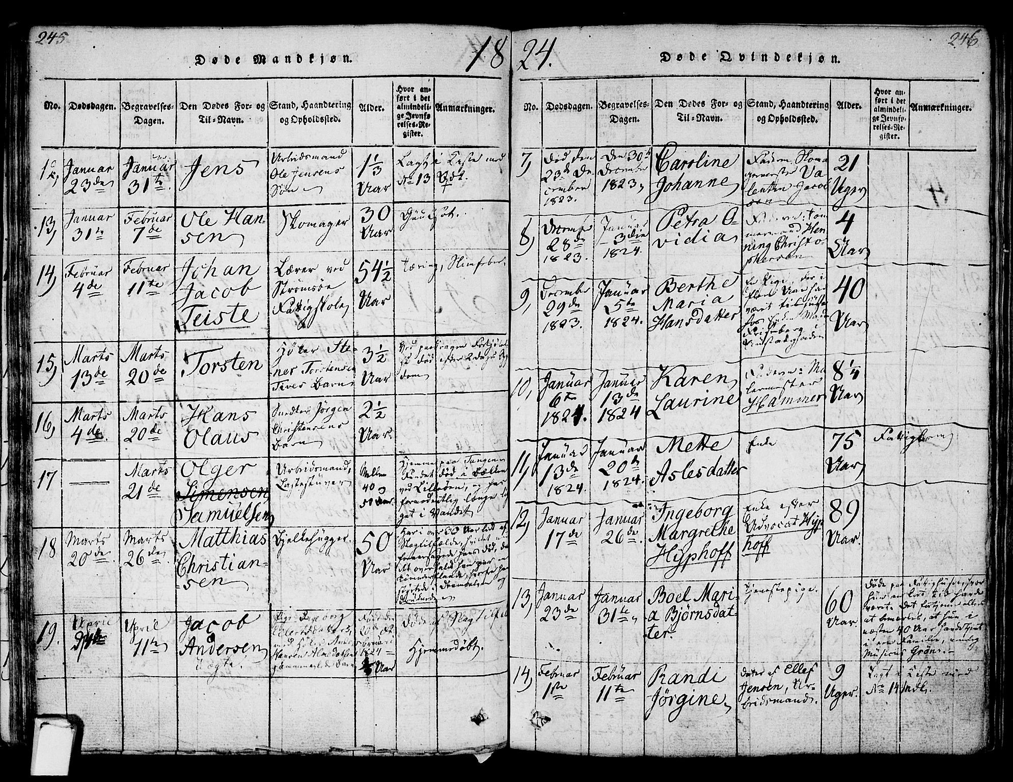 Strømsø kirkebøker, SAKO/A-246/F/Fa/L0011: Parish register (official) no. I 11, 1815-1829, p. 245-246