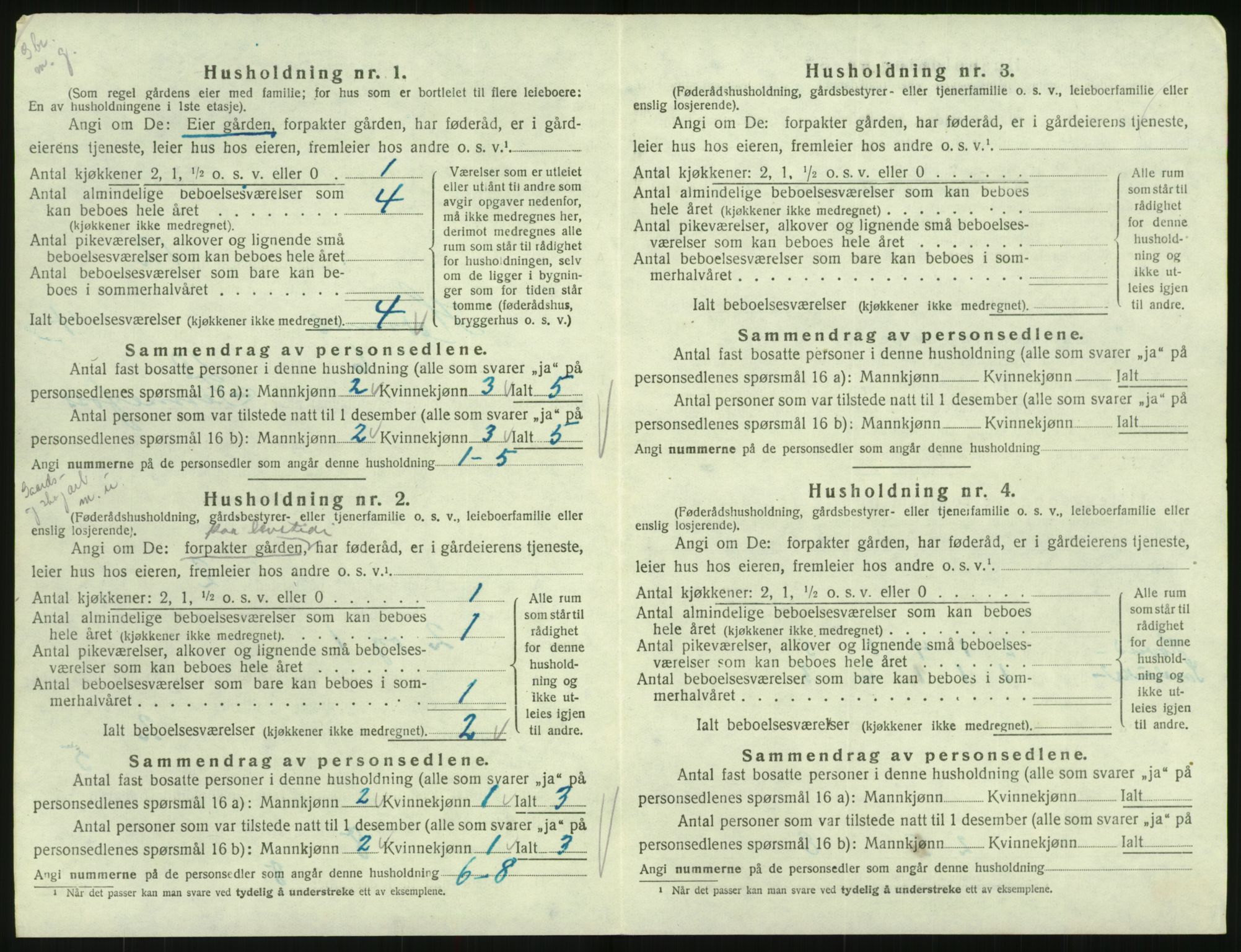 SAK, 1920 census for Hornnes, 1920, p. 196