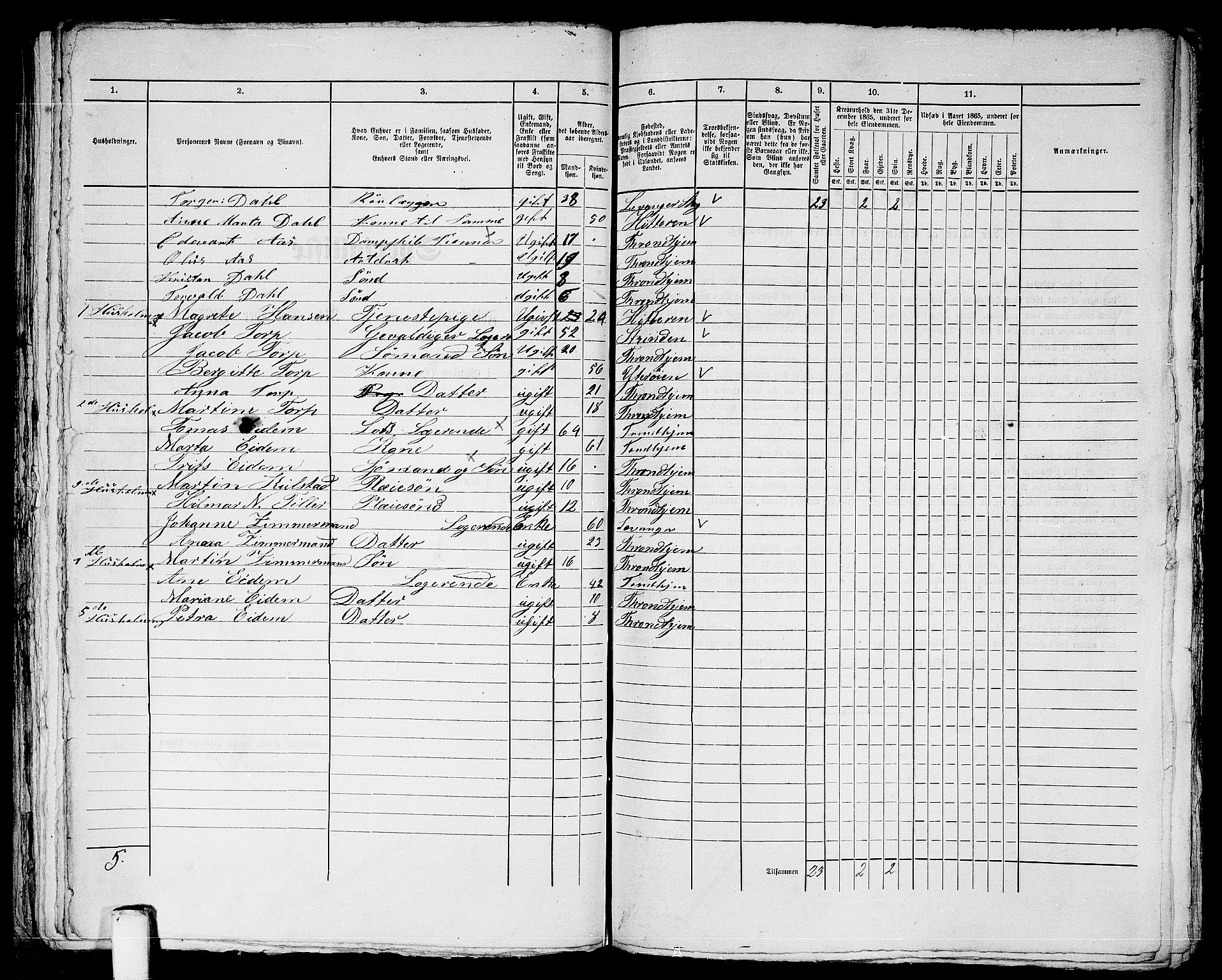 RA, 1865 census for Trondheim, 1865, p. 784