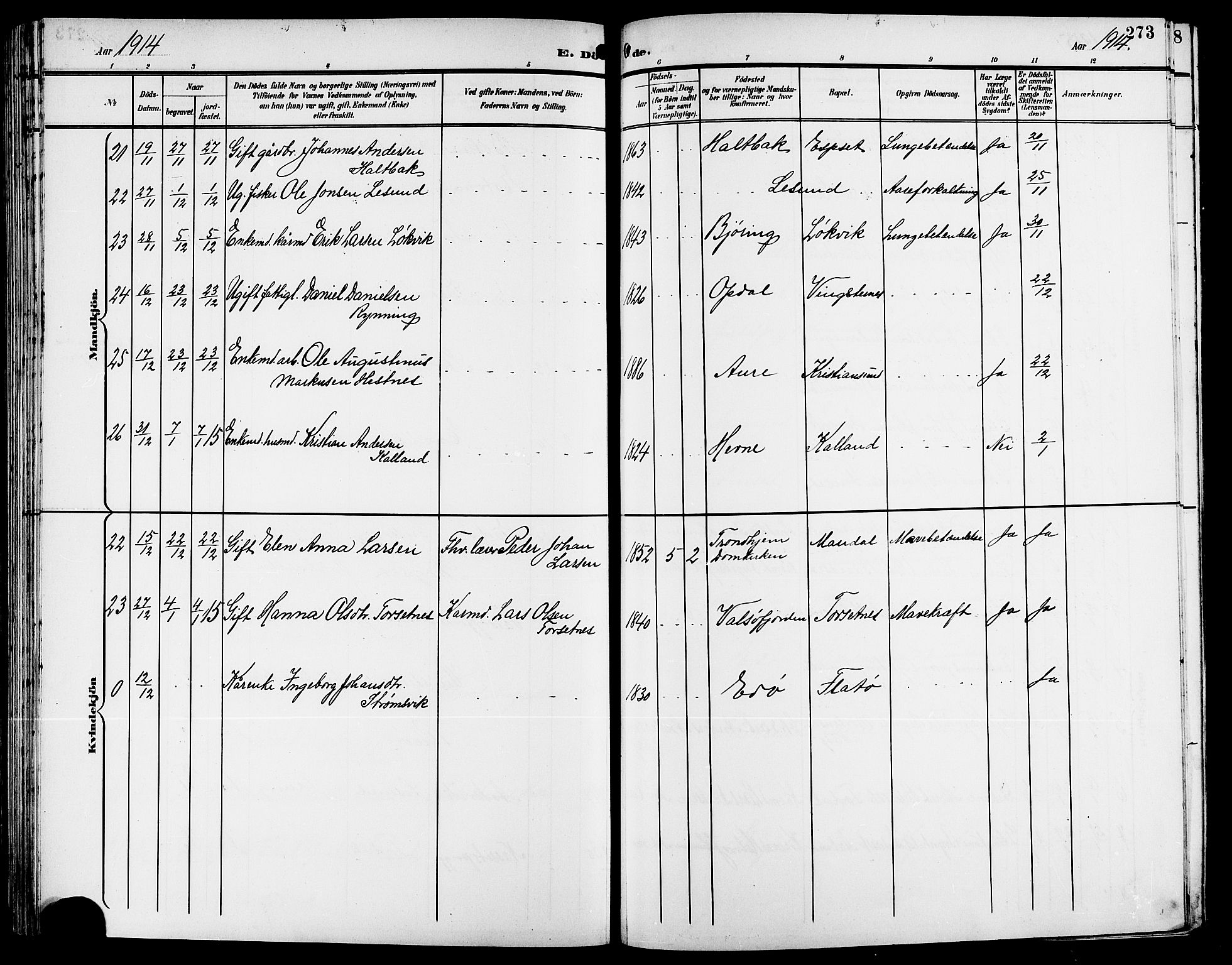 Ministerialprotokoller, klokkerbøker og fødselsregistre - Møre og Romsdal, AV/SAT-A-1454/578/L0910: Parish register (copy) no. 578C03, 1900-1921, p. 273