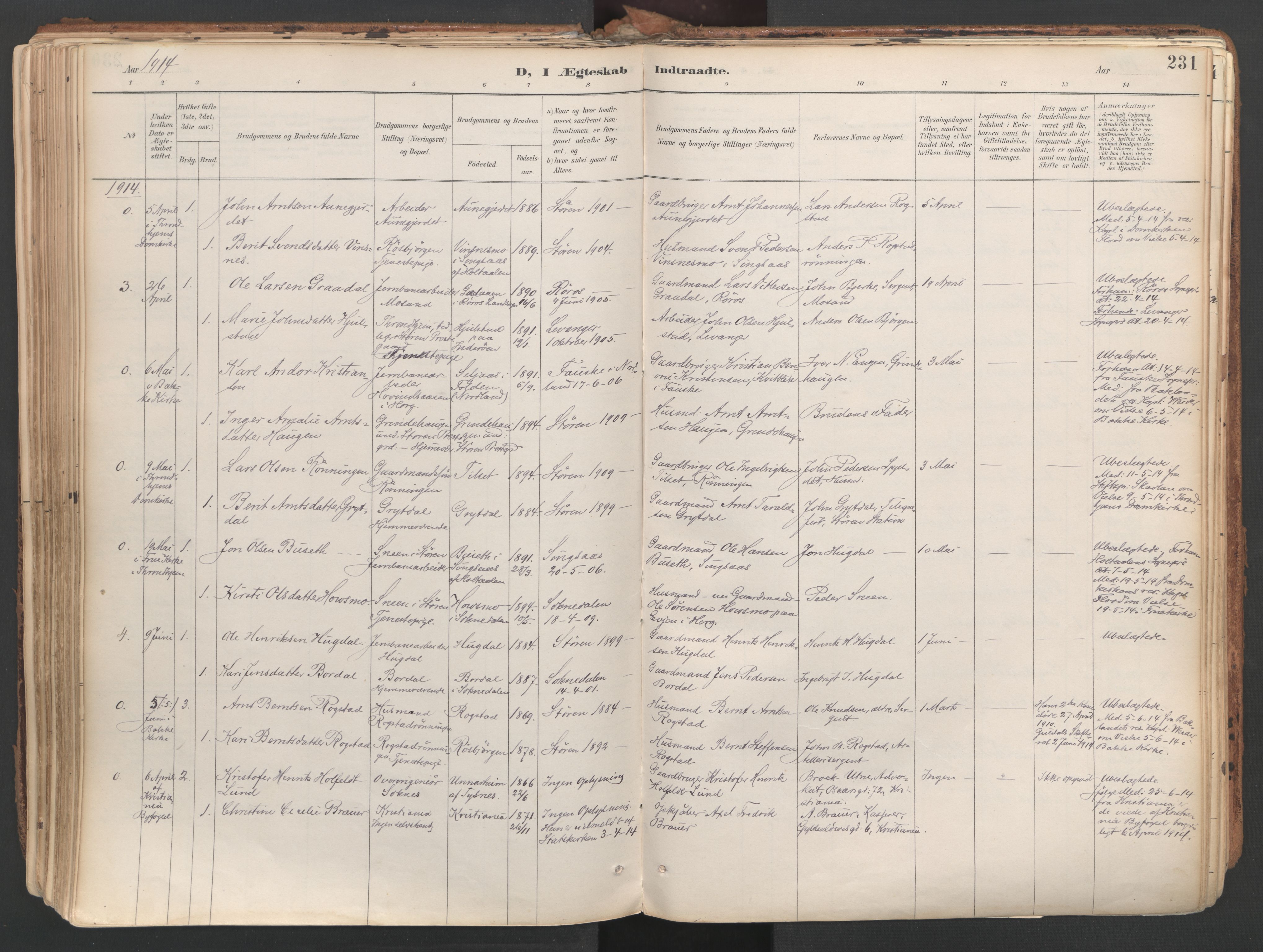 Ministerialprotokoller, klokkerbøker og fødselsregistre - Sør-Trøndelag, SAT/A-1456/687/L1004: Parish register (official) no. 687A10, 1891-1923, p. 231