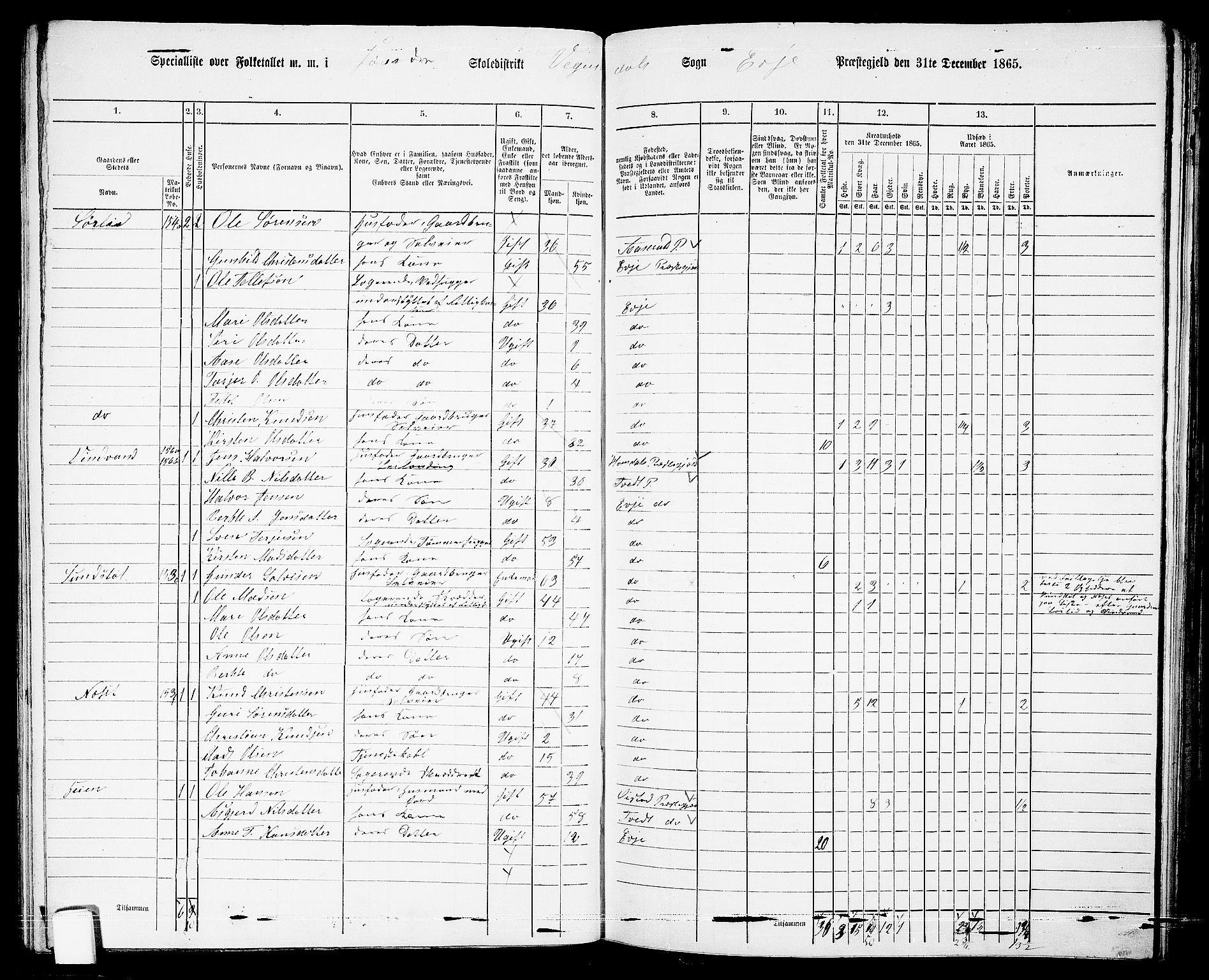 RA, 1865 census for Evje, 1865, p. 78