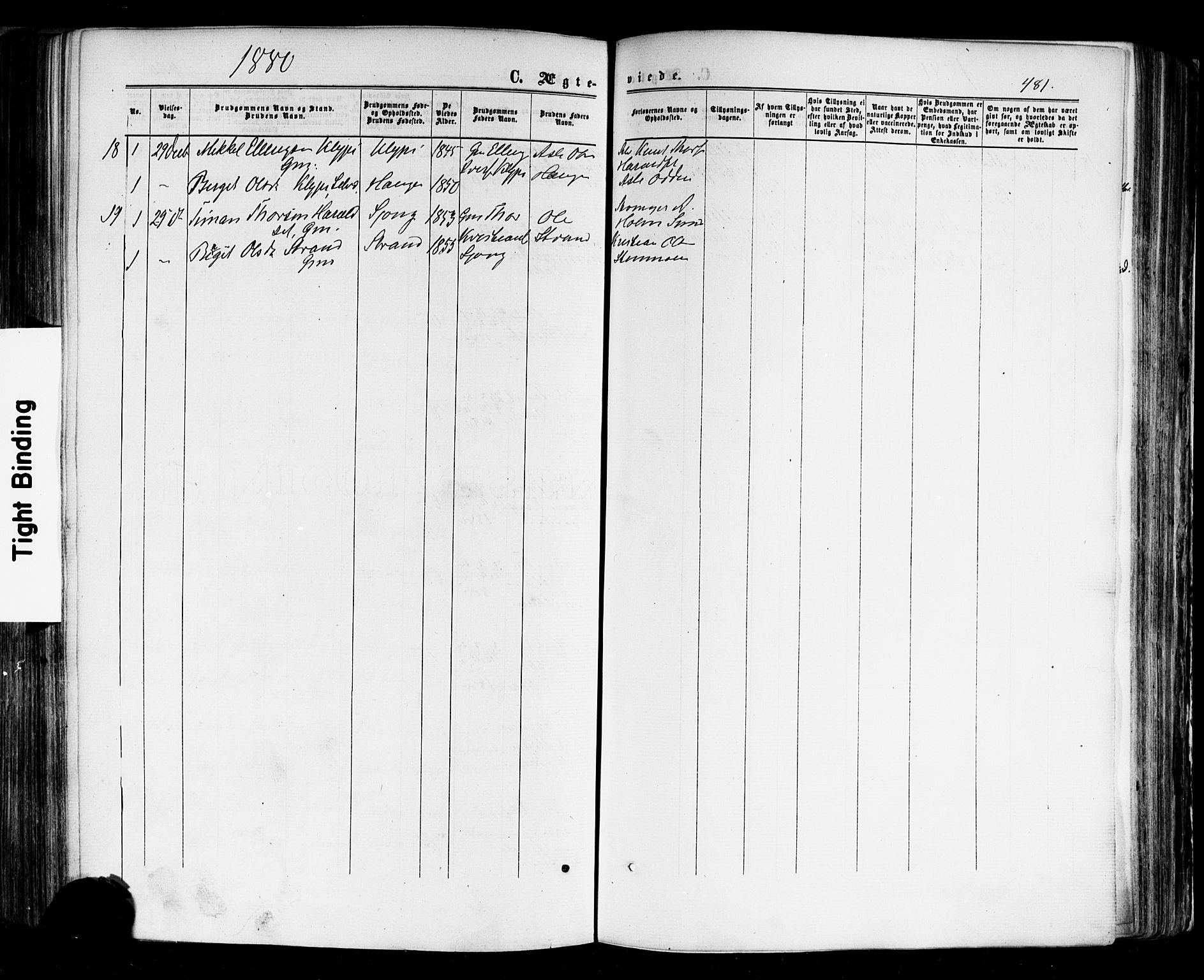 Nes kirkebøker, AV/SAKO-A-236/F/Fa/L0010: Parish register (official) no. 10, 1864-1880, p. 481