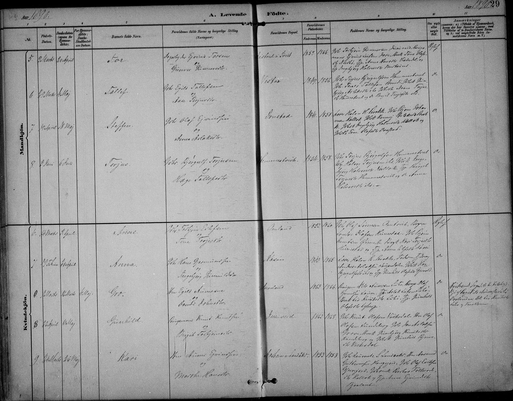 Kviteseid kirkebøker, SAKO/A-276/F/Fb/L0002: Parish register (official) no. II 2, 1882-1916, p. 29