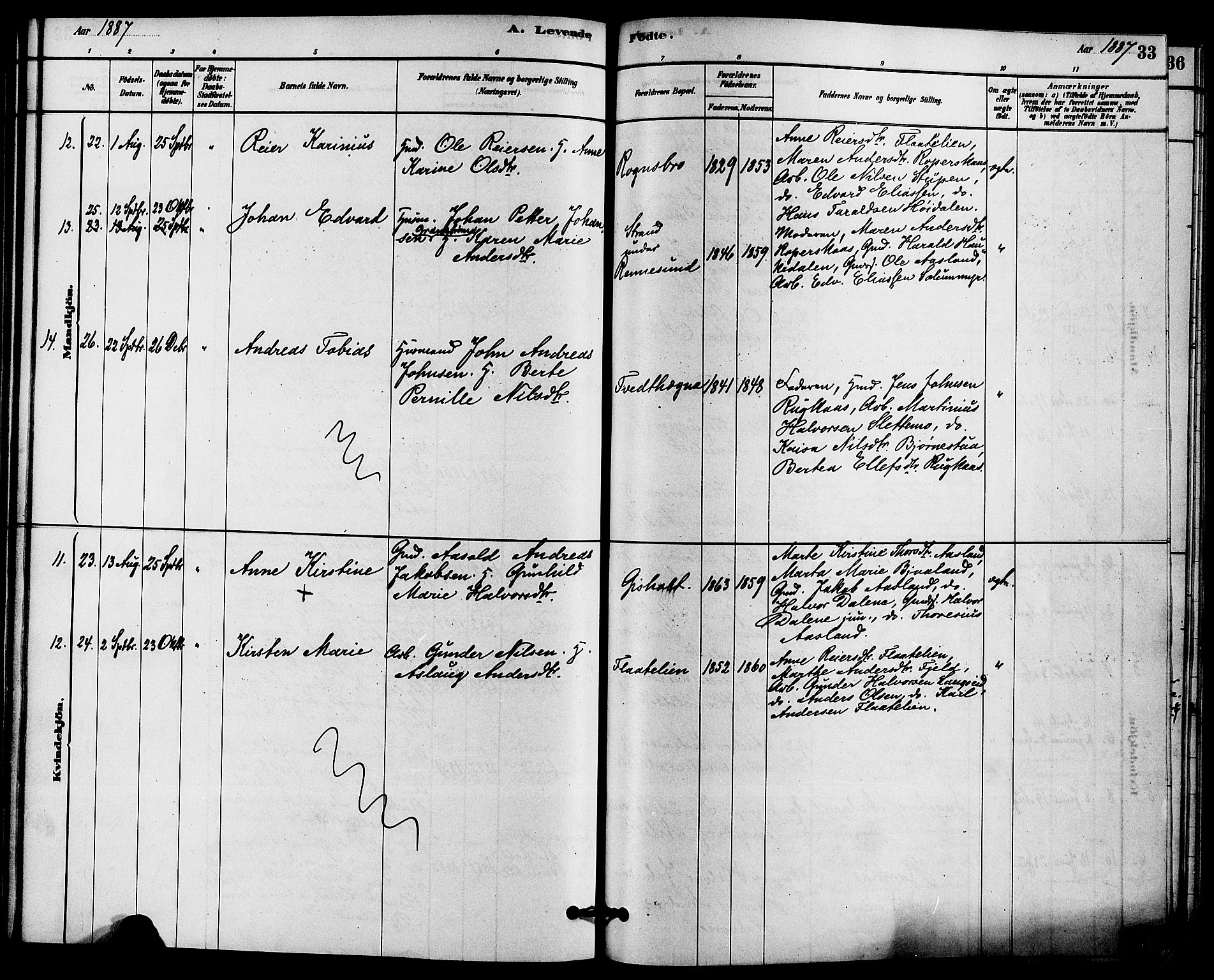 Solum kirkebøker, SAKO/A-306/F/Fc/L0001: Parish register (official) no. III 1, 1877-1891, p. 33