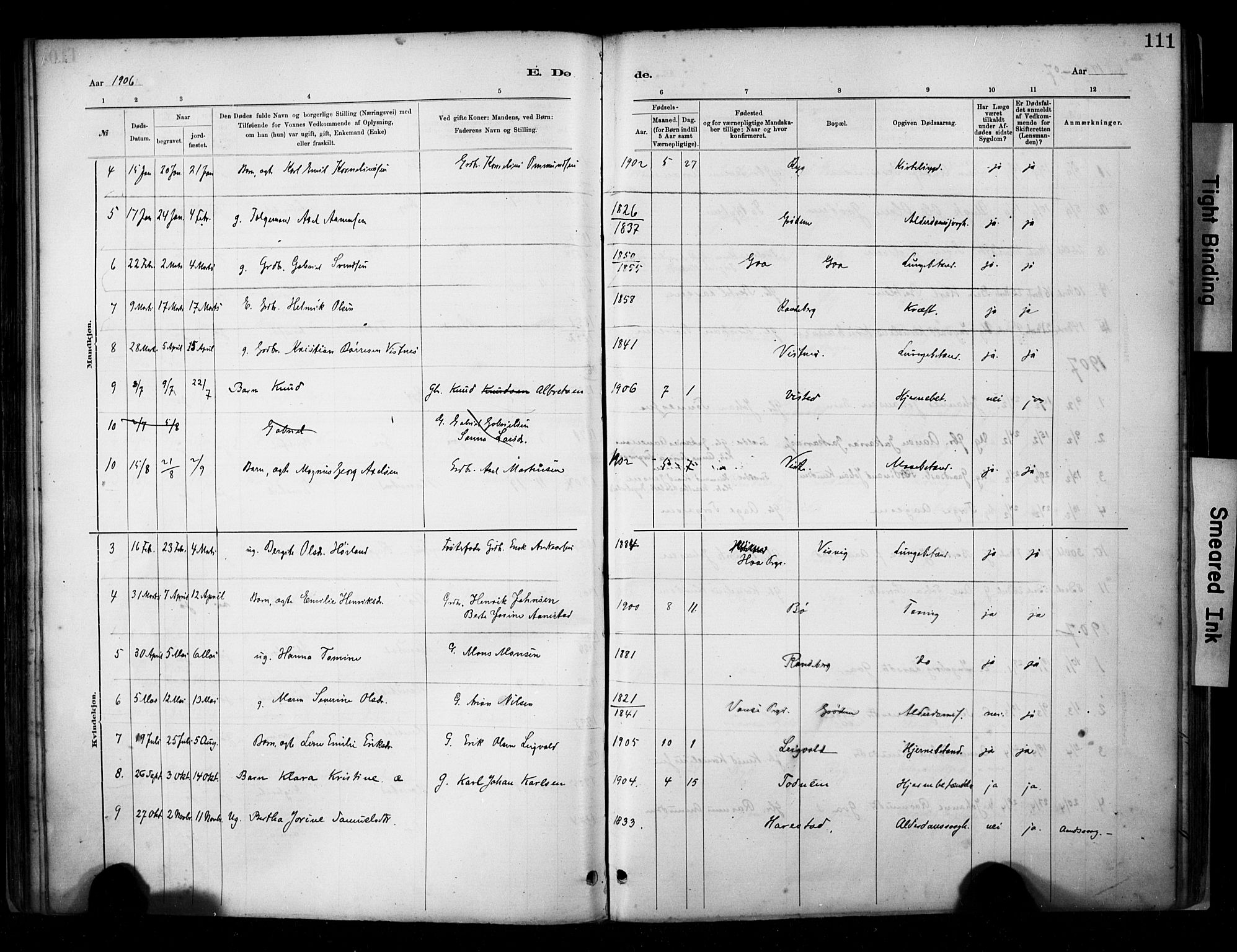 Hetland sokneprestkontor, AV/SAST-A-101826/30/30BA/L0009: Parish register (official) no. A 9, 1882-1918, p. 111