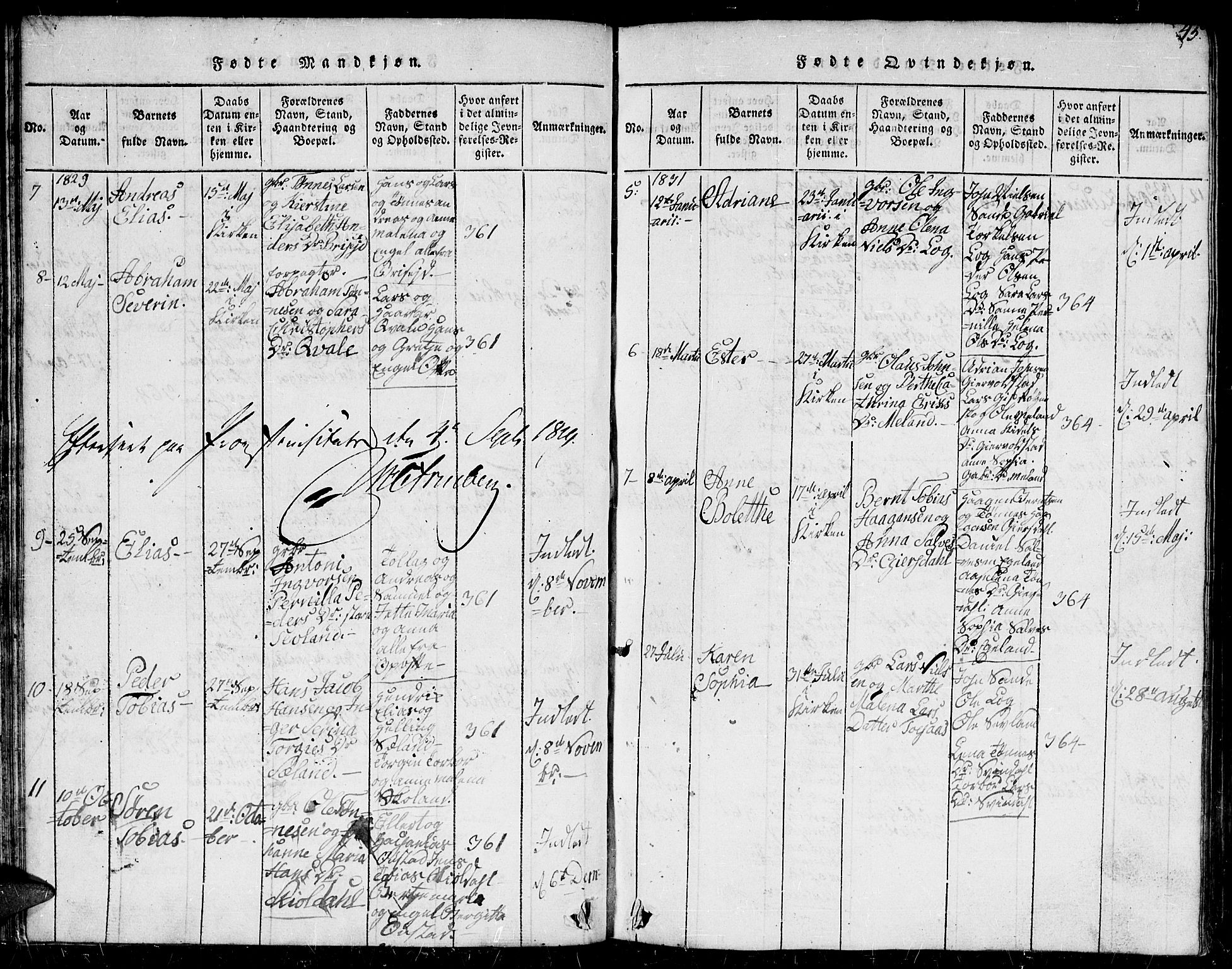 Herad sokneprestkontor, AV/SAK-1111-0018/F/Fb/Fba/L0001: Parish register (copy) no. B 1, 1815-1852, p. 45