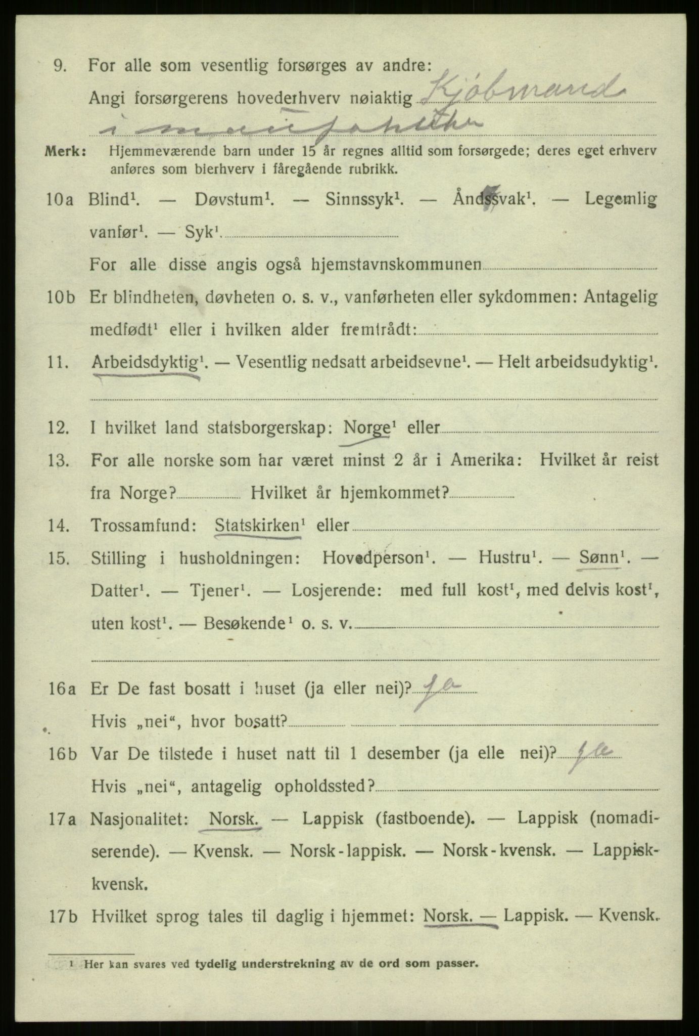 SATØ, 1920 census for Harstad, 1920, p. 5205