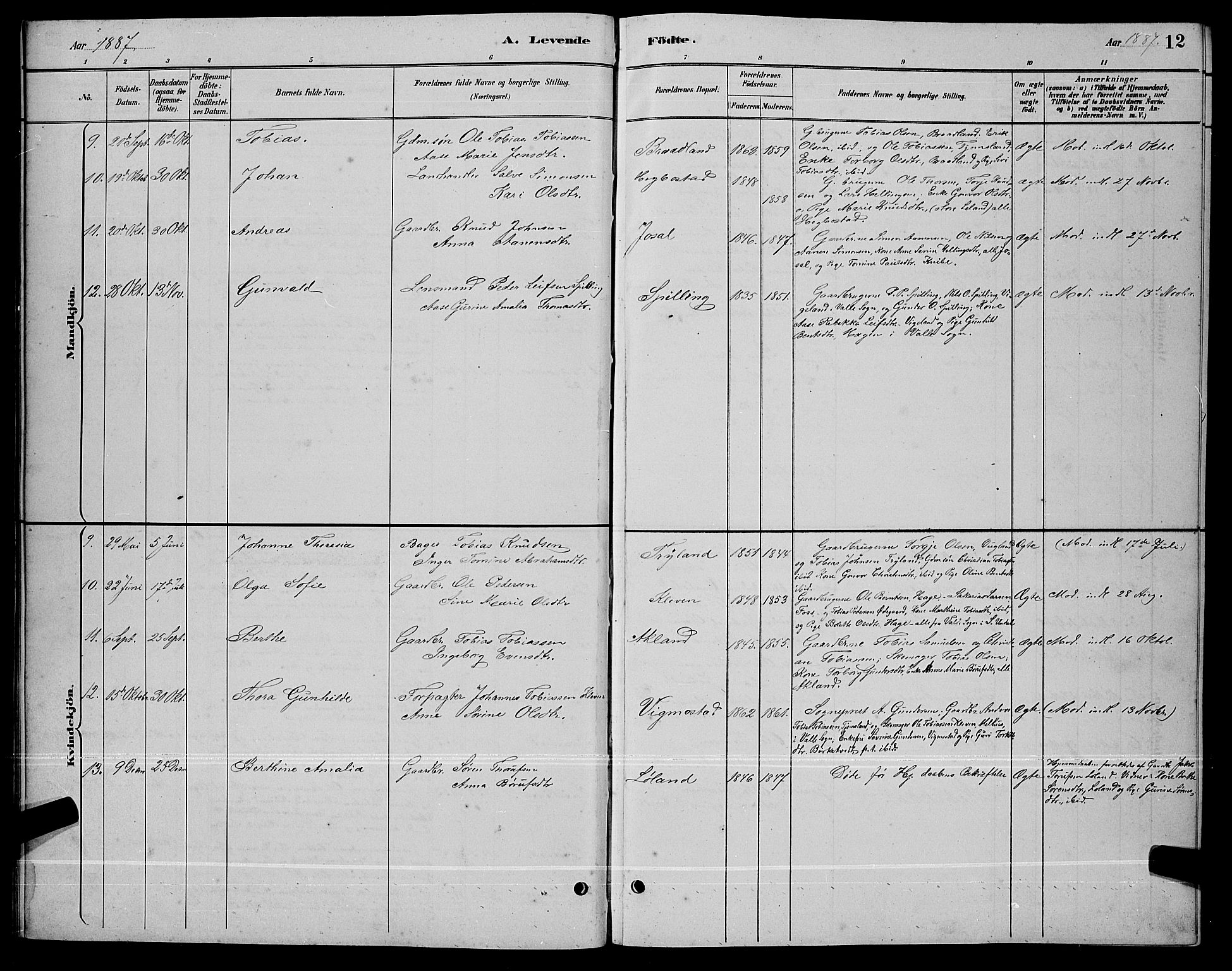 Nord-Audnedal sokneprestkontor, AV/SAK-1111-0032/F/Fb/Fbb/L0003: Parish register (copy) no. B 3, 1882-1900, p. 12