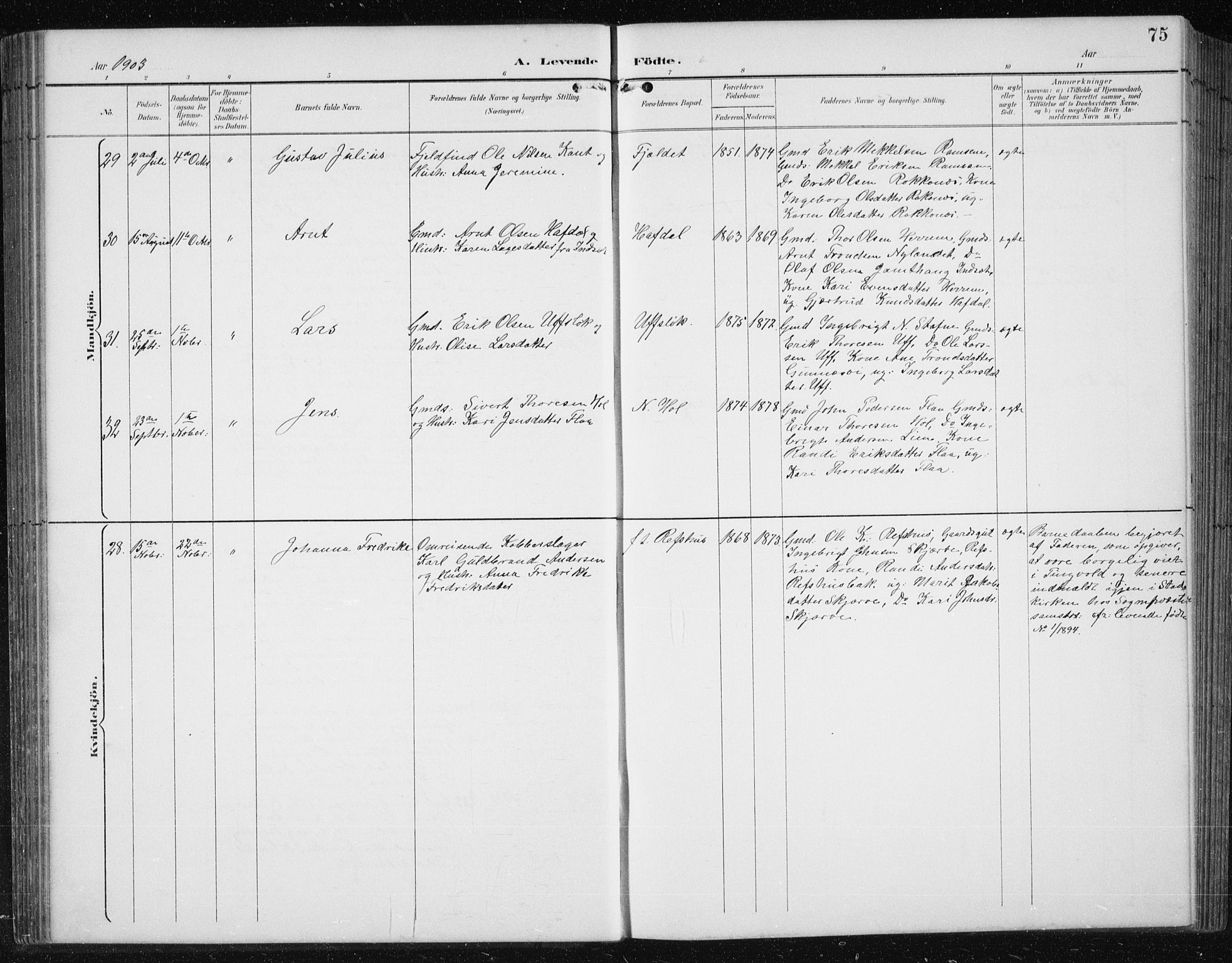 Ministerialprotokoller, klokkerbøker og fødselsregistre - Sør-Trøndelag, AV/SAT-A-1456/674/L0876: Parish register (copy) no. 674C03, 1892-1912, p. 75