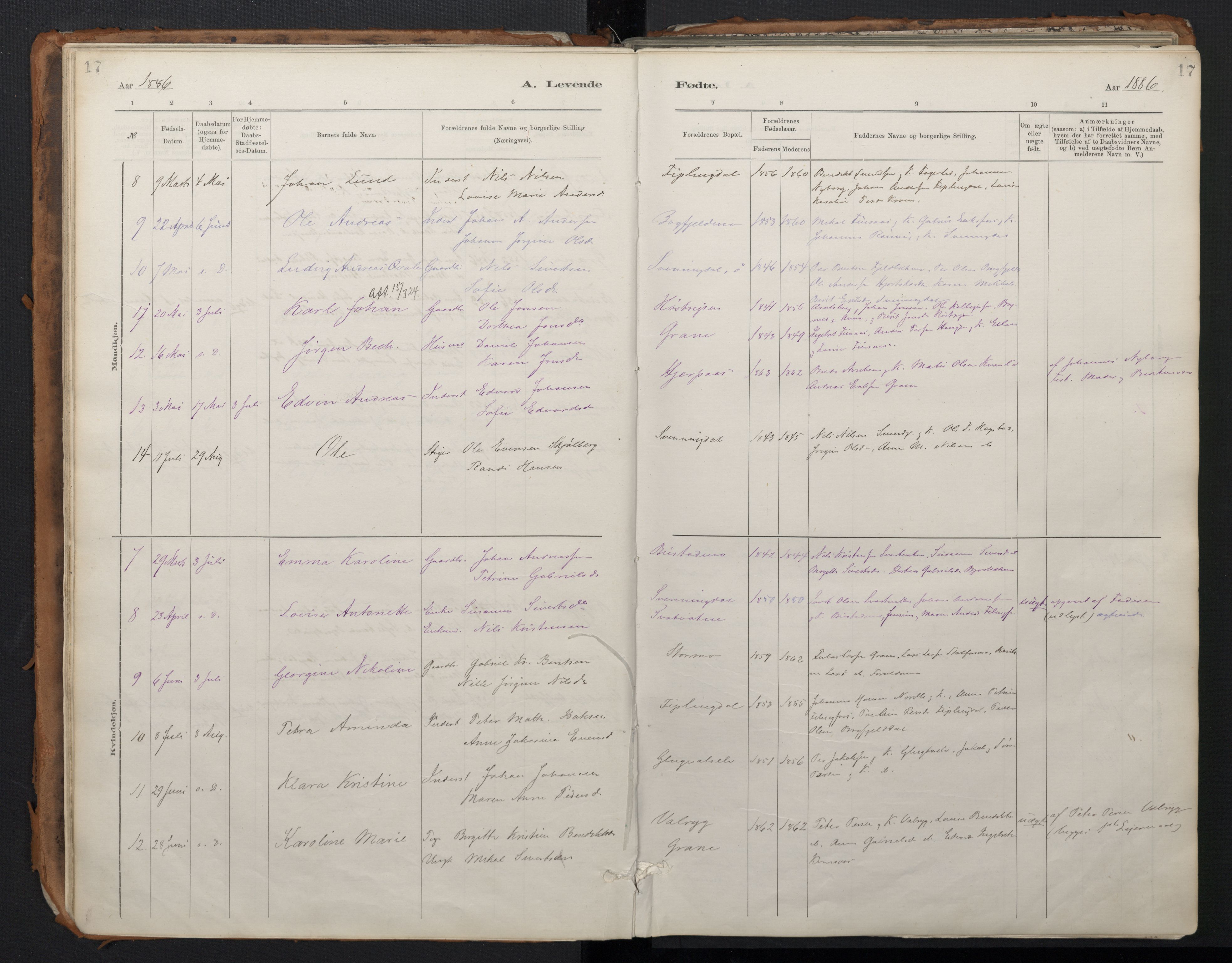 Ministerialprotokoller, klokkerbøker og fødselsregistre - Nordland, SAT/A-1459/824/L0338: Parish register (official) no. 824A01, 1880-1915, p. 17