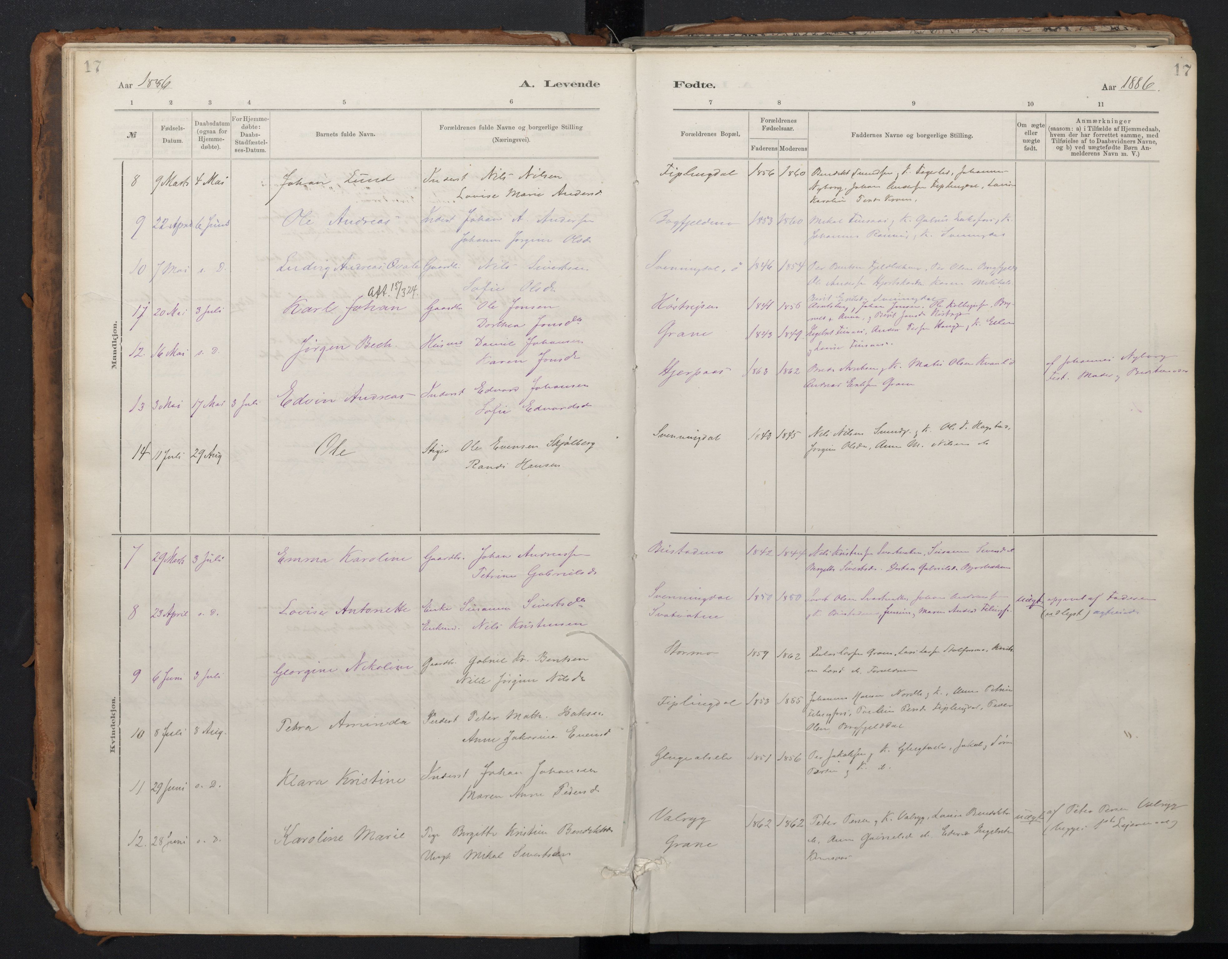 Ministerialprotokoller, klokkerbøker og fødselsregistre - Nordland, AV/SAT-A-1459/824/L0338: Parish register (official) no. 824A01, 1880-1915, p. 17