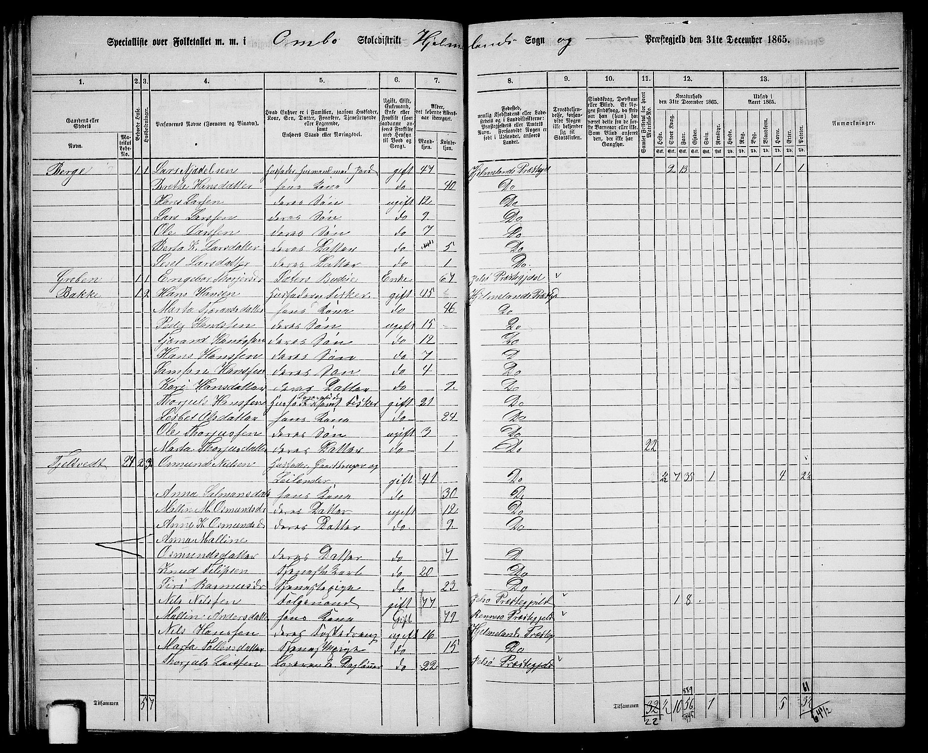 RA, 1865 census for Hjelmeland, 1865, p. 30