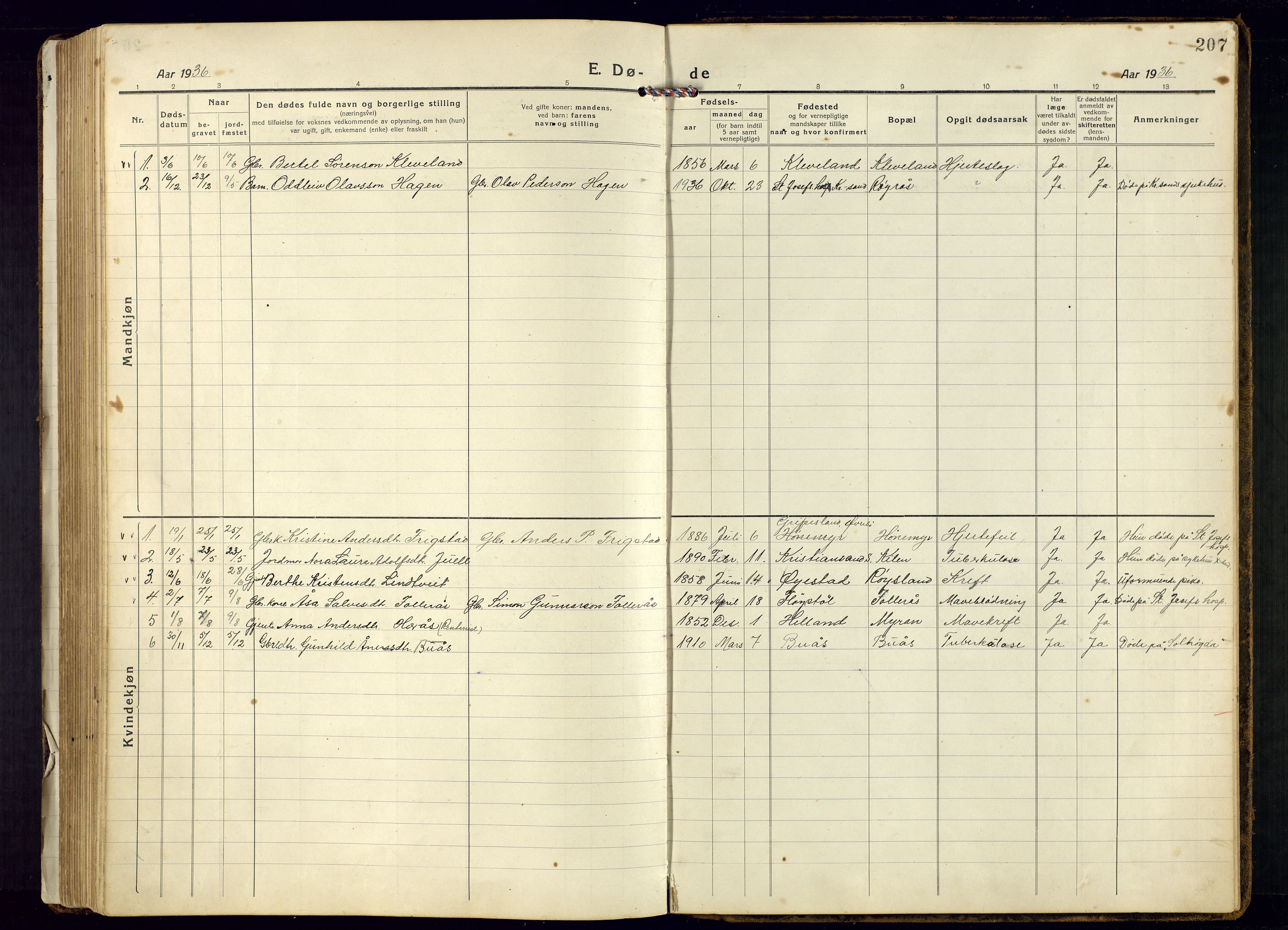 Bjelland sokneprestkontor, AV/SAK-1111-0005/F/Fb/Fbb/L0006: Parish register (copy) no. B-6, 1918-1946, p. 207