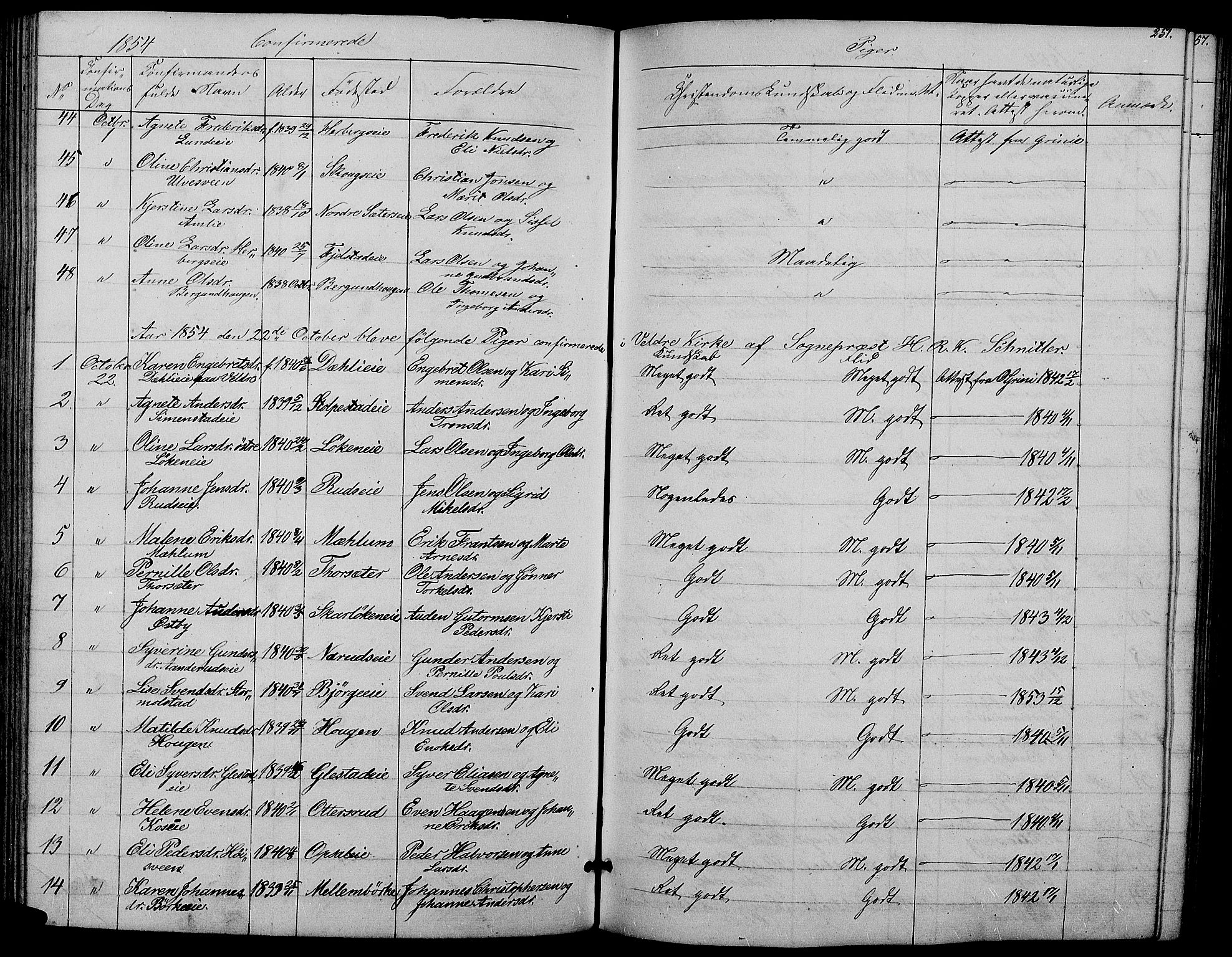 Ringsaker prestekontor, AV/SAH-PREST-014/L/La/L0006: Parish register (copy) no. 6, 1851-1860, p. 251