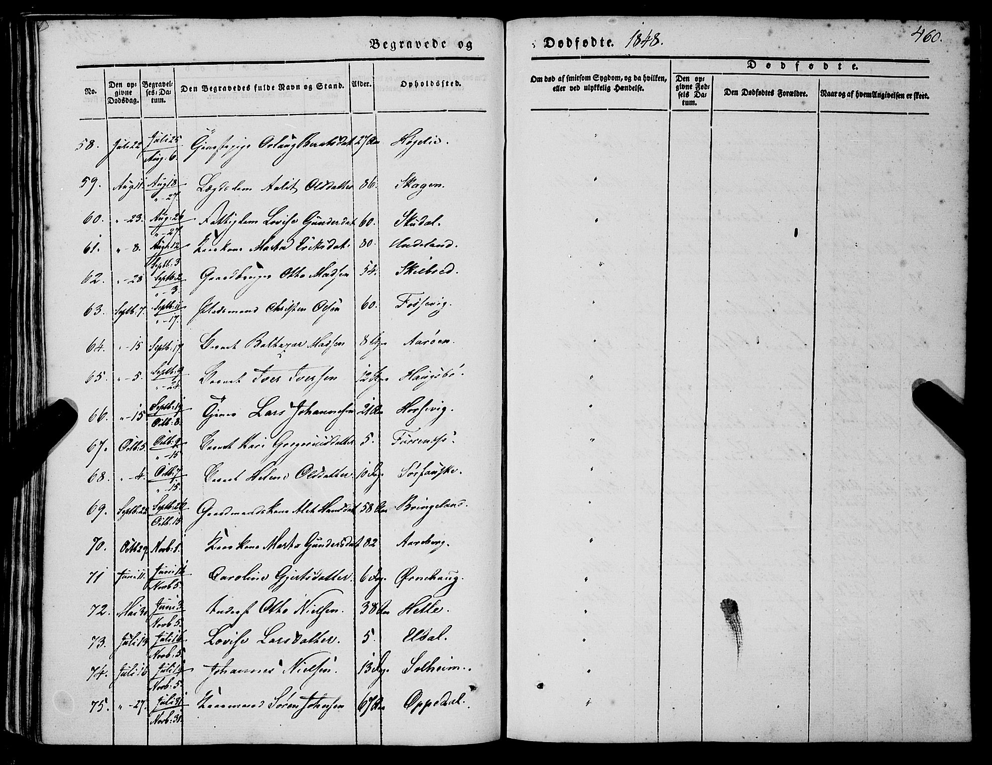 Gaular sokneprestembete, AV/SAB-A-80001/H/Haa: Parish register (official) no. A 4II, 1841-1859, p. 460