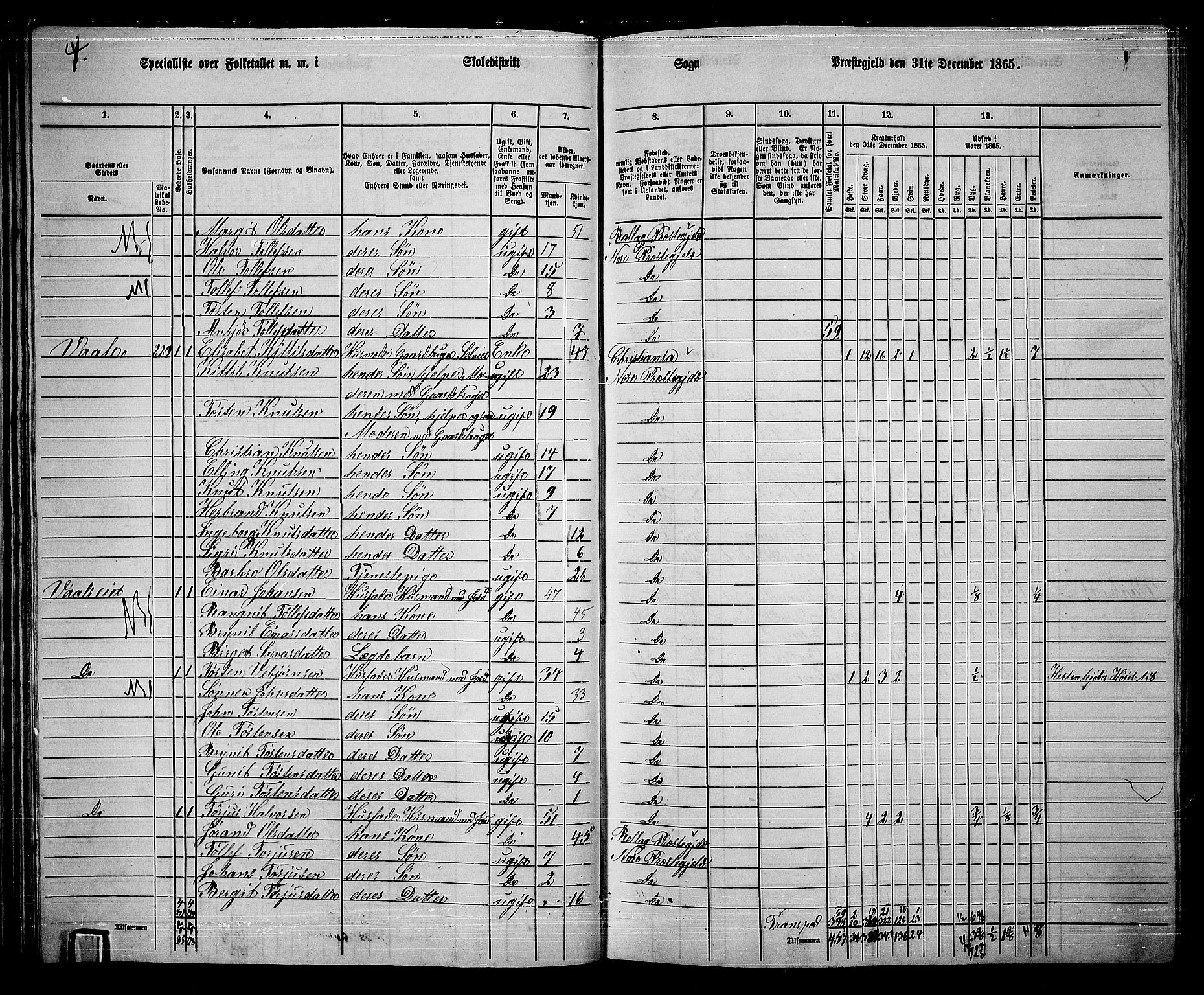 RA, 1865 census for Nore, 1865, p. 46