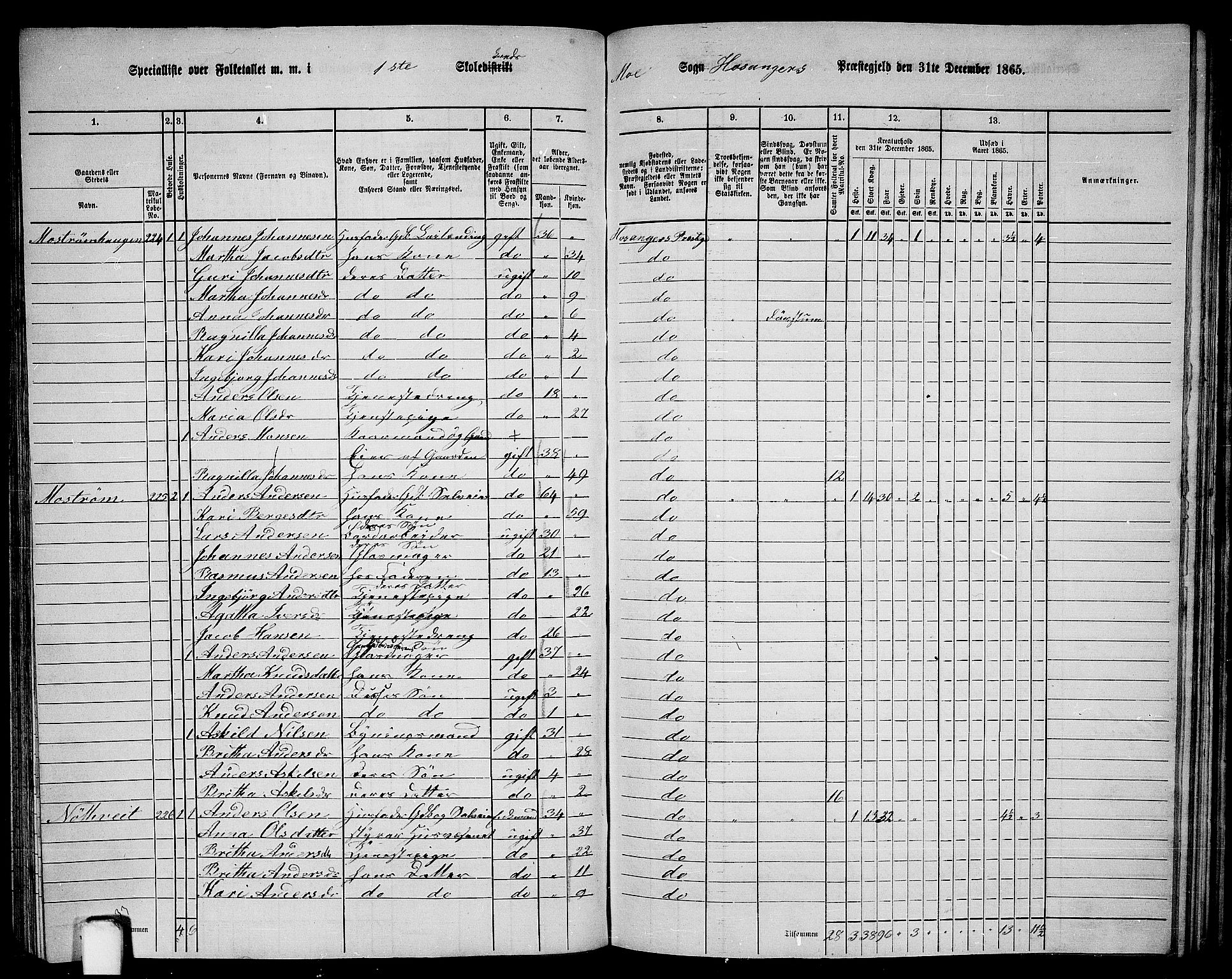 RA, 1865 census for Hosanger, 1865, p. 121