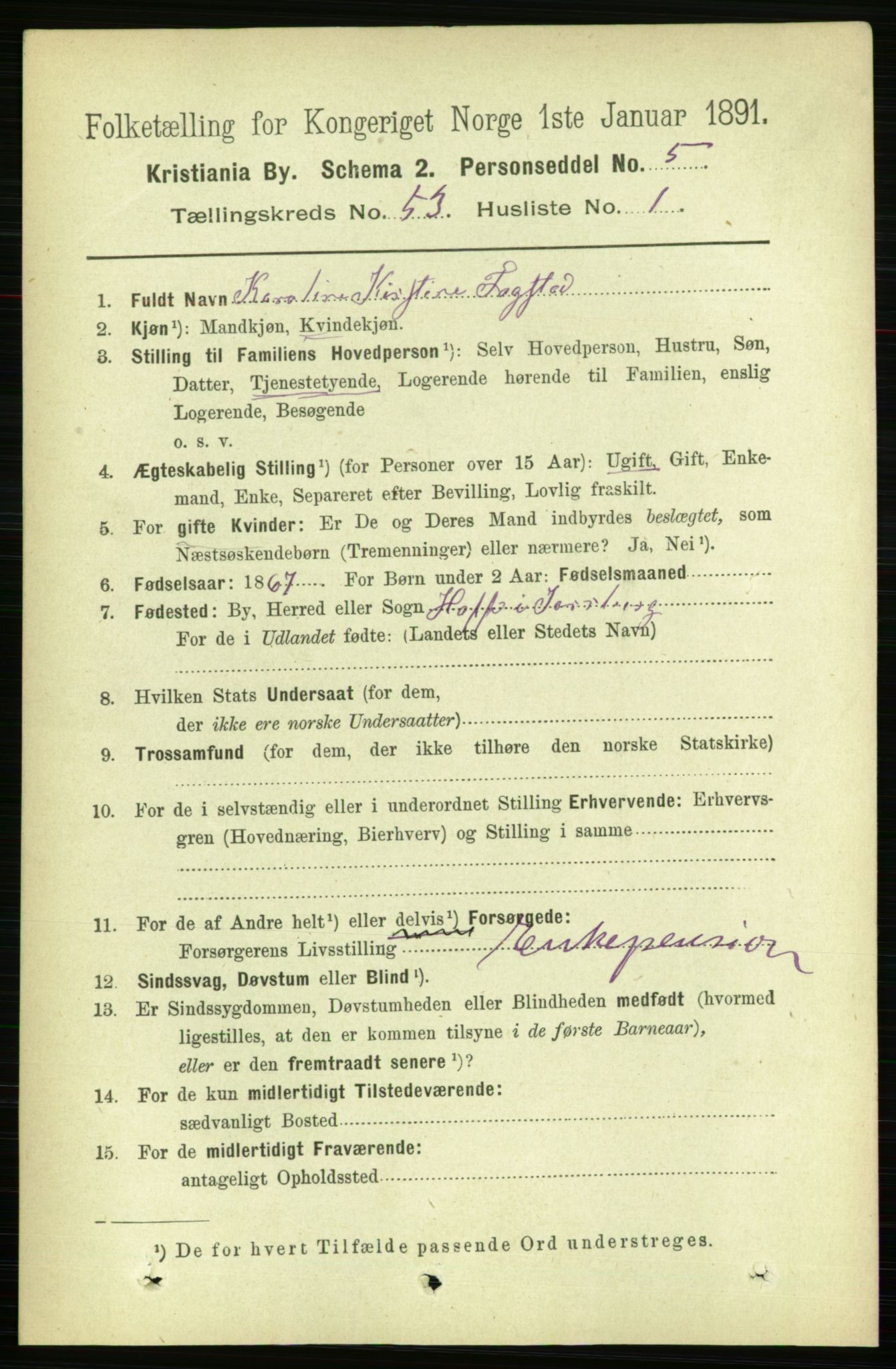 RA, 1891 census for 0301 Kristiania, 1891, p. 29765