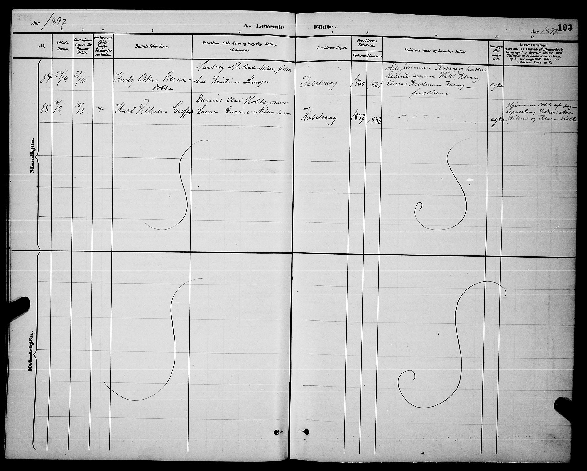 Ministerialprotokoller, klokkerbøker og fødselsregistre - Nordland, AV/SAT-A-1459/874/L1077: Parish register (copy) no. 874C06, 1891-1900, p. 103