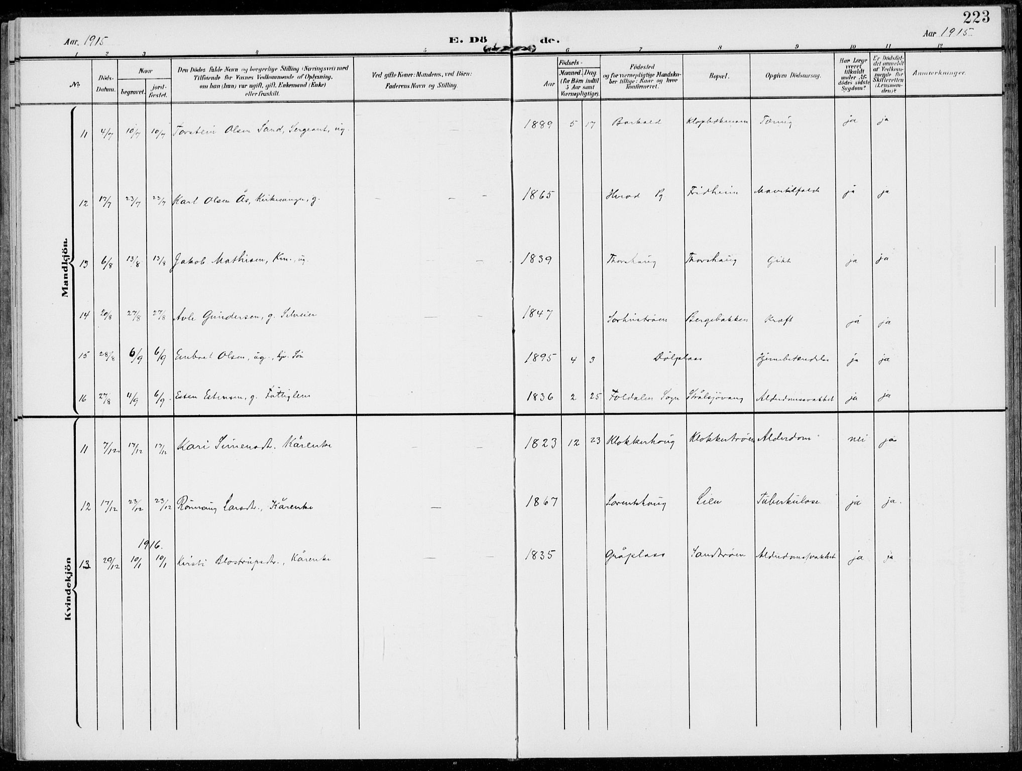 Alvdal prestekontor, AV/SAH-PREST-060/H/Ha/Haa/L0004: Parish register (official) no. 4, 1907-1919, p. 223