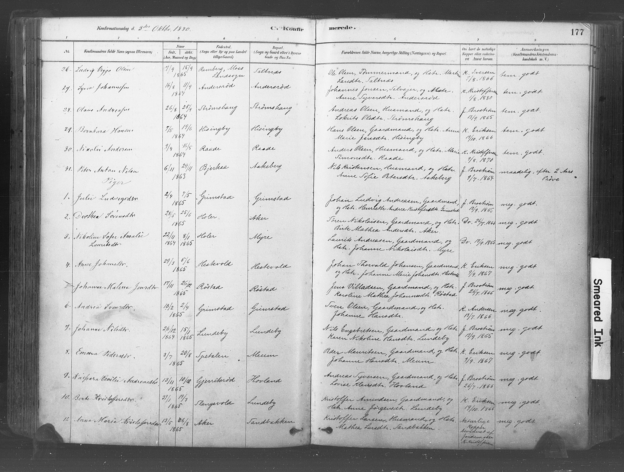 Råde prestekontor kirkebøker, AV/SAO-A-2009/F/Fa/L0007: Parish register (official) no. 7, 1878-1902, p. 177