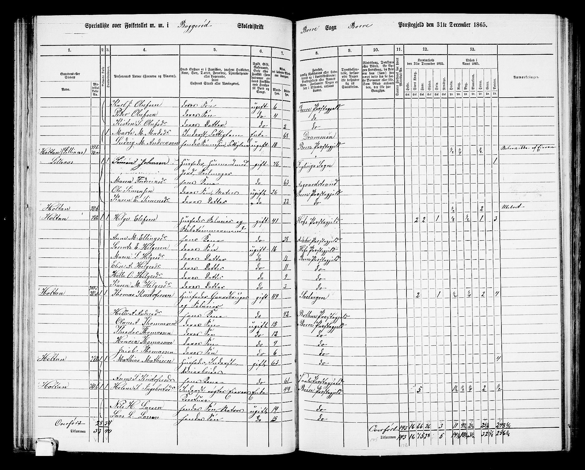 RA, 1865 census for Borre, 1865, p. 91