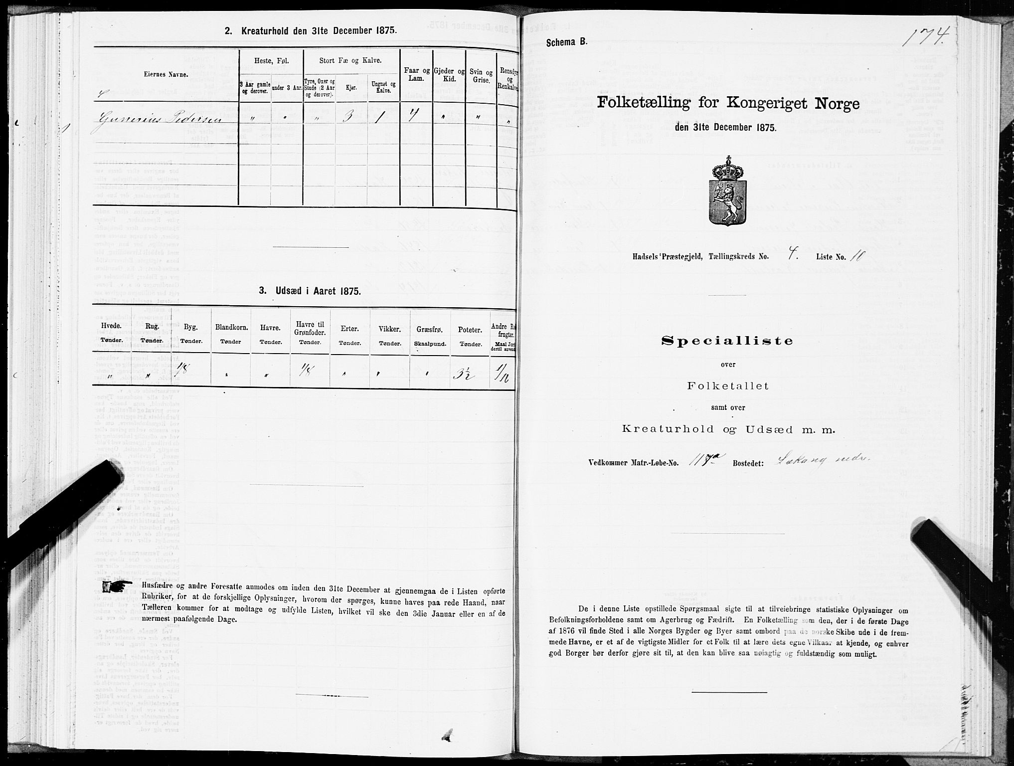 SAT, 1875 census for 1866P Hadsel, 1875, p. 2174