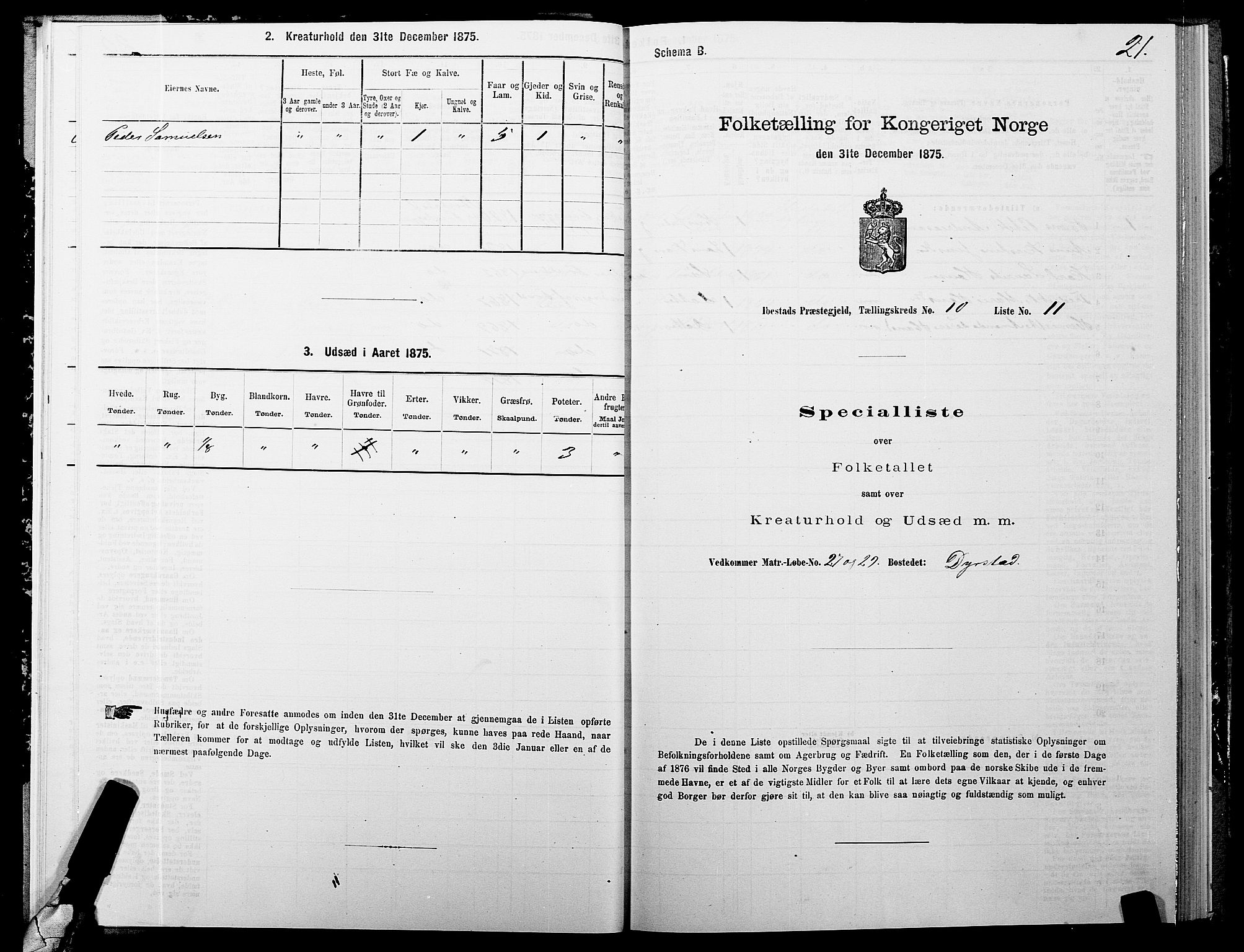 SATØ, 1875 census for 1917P Ibestad, 1875, p. 7021