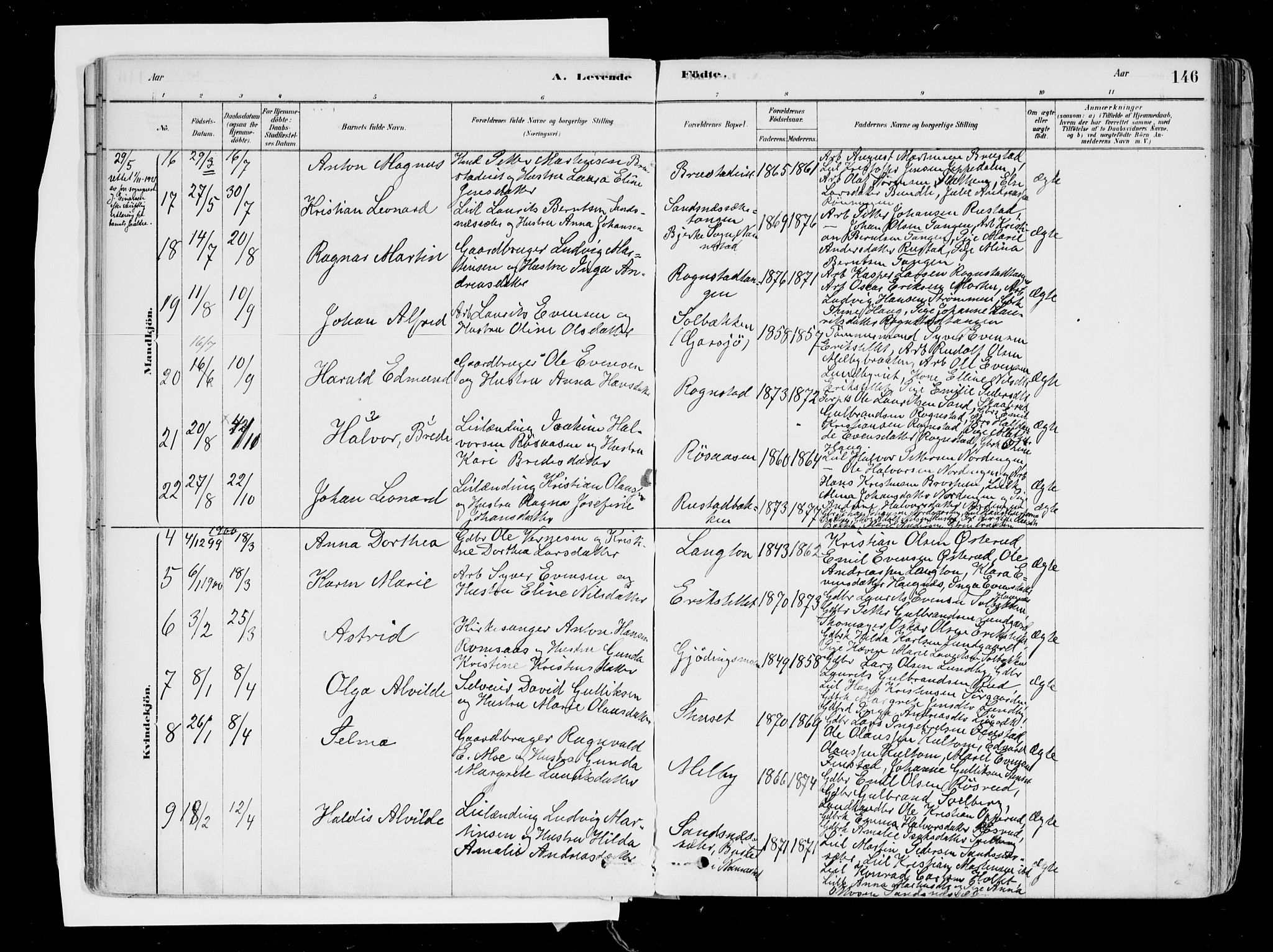 Hurdal prestekontor Kirkebøker, AV/SAO-A-10889/F/Fa/L0007: Parish register (official) no. I 7, 1878-1906, p. 146