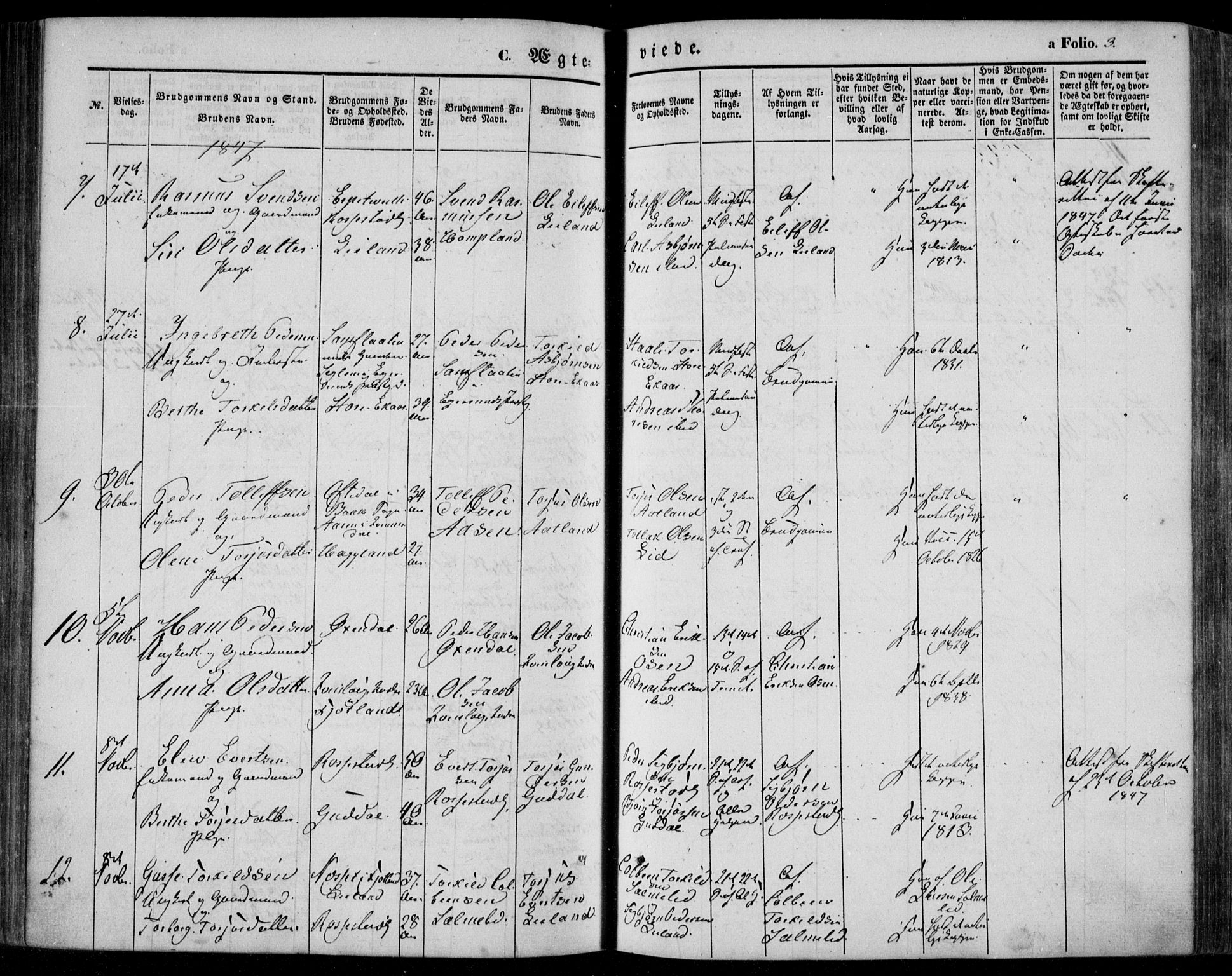 Bakke sokneprestkontor, AV/SAK-1111-0002/F/Fa/Faa/L0005: Parish register (official) no. A 5, 1847-1855, p. 3