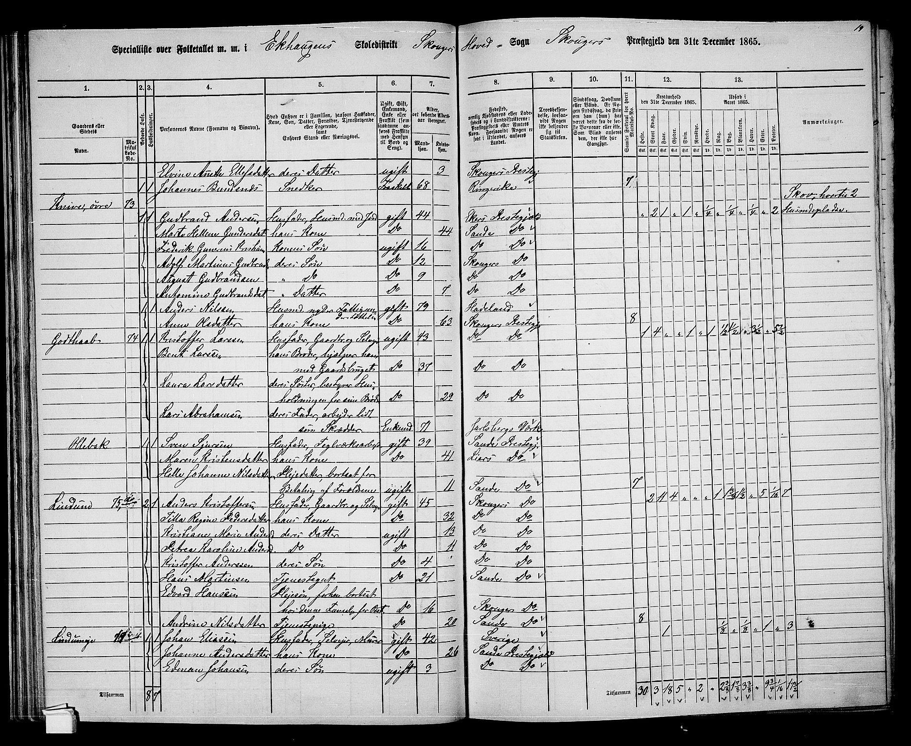 RA, 1865 census for Skoger, 1865, p. 59