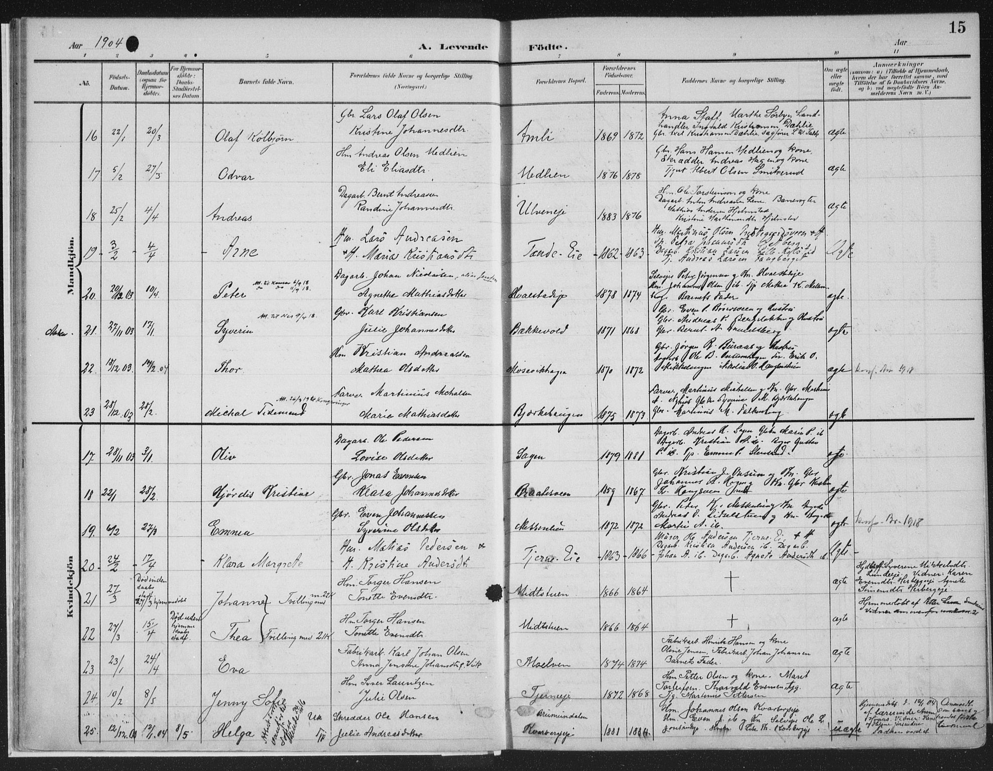 Ringsaker prestekontor, AV/SAH-PREST-014/K/Ka/L0018: Parish register (official) no. 18, 1903-1912, p. 15