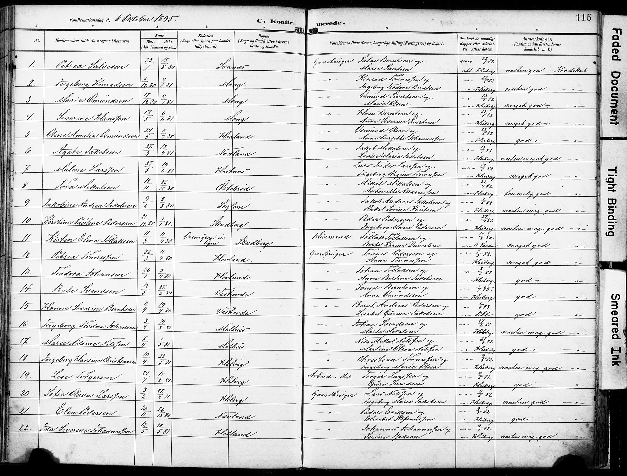 Eigersund sokneprestkontor, AV/SAST-A-101807/S08/L0018: Parish register (official) no. A 17, 1892-1905, p. 115