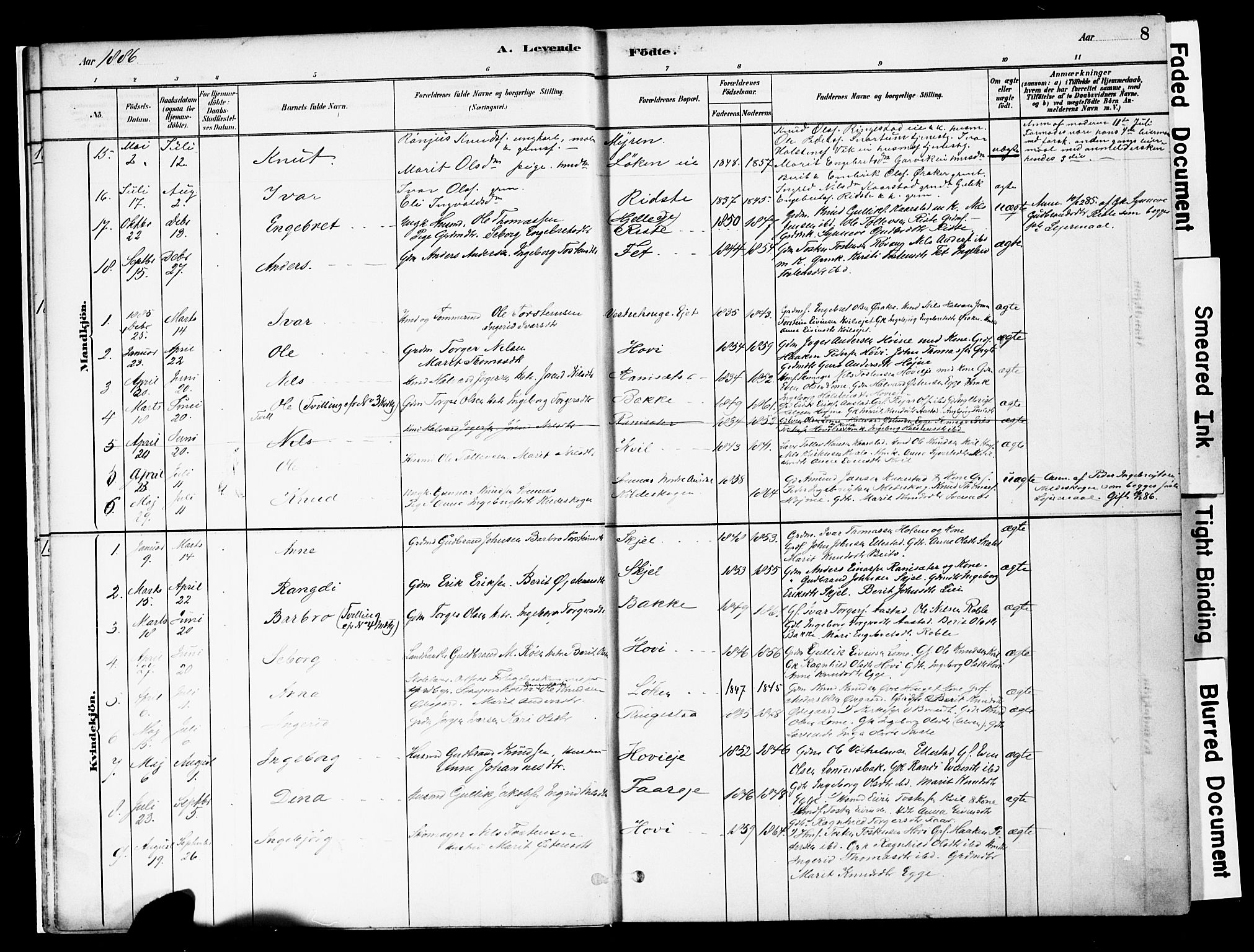 Vestre Slidre prestekontor, AV/SAH-PREST-136/H/Ha/Haa/L0005: Parish register (official) no. 5, 1881-1912, p. 8
