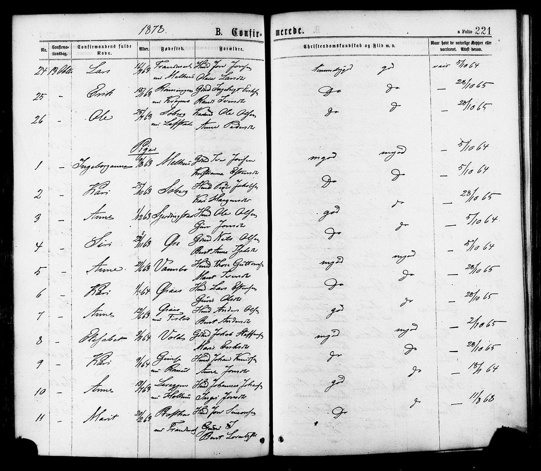 Ministerialprotokoller, klokkerbøker og fødselsregistre - Sør-Trøndelag, AV/SAT-A-1456/691/L1079: Parish register (official) no. 691A11, 1873-1886, p. 221