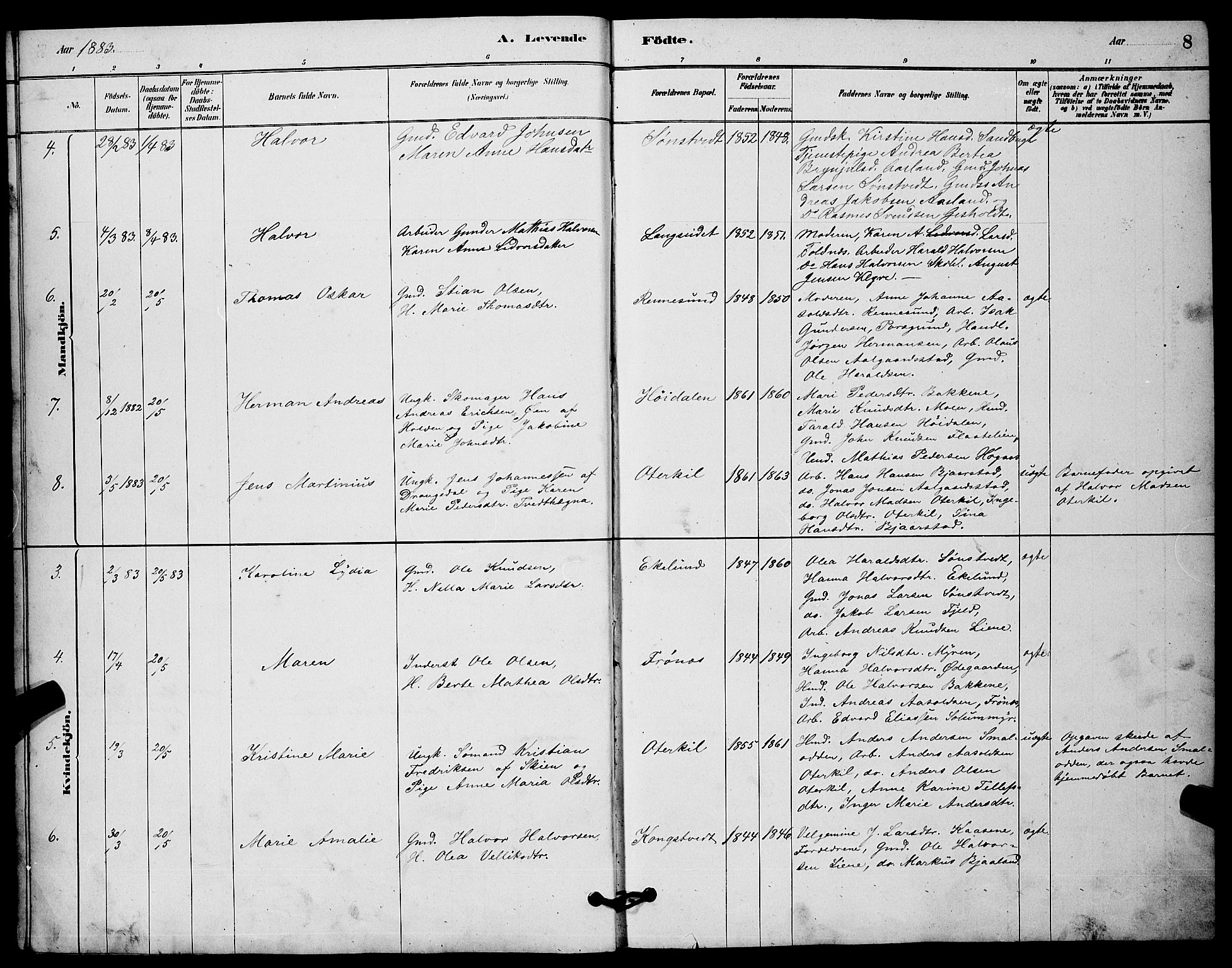 Solum kirkebøker, SAKO/A-306/G/Gc/L0001: Parish register (copy) no. III 1, 1880-1902, p. 8