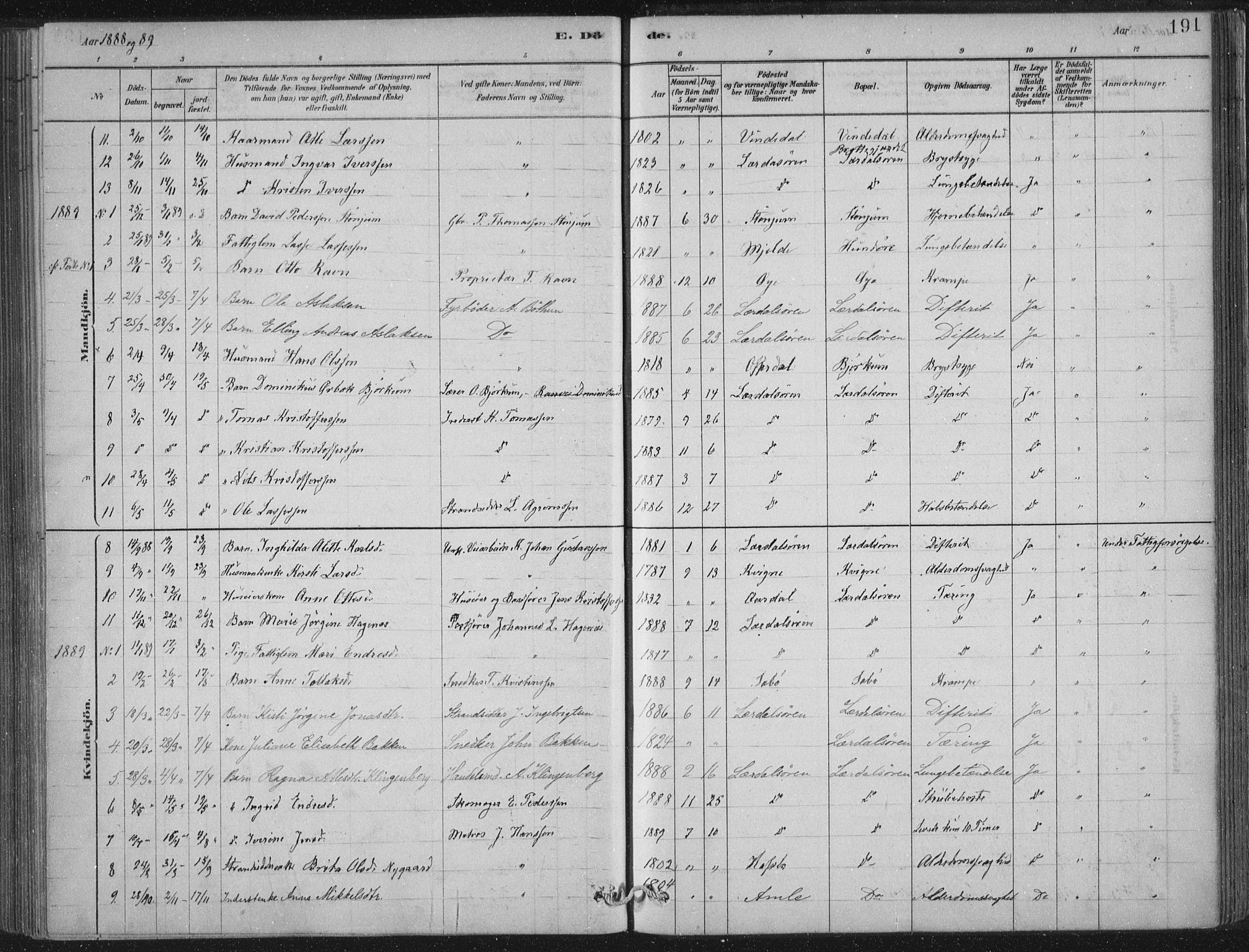 Lærdal sokneprestembete, SAB/A-81201: Parish register (official) no. D  1, 1878-1908, p. 191