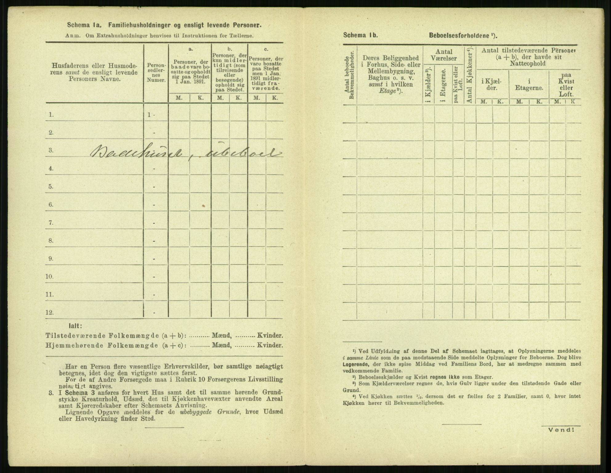 RA, 1891 census for 1702 Steinkjer, 1891, p. 1262