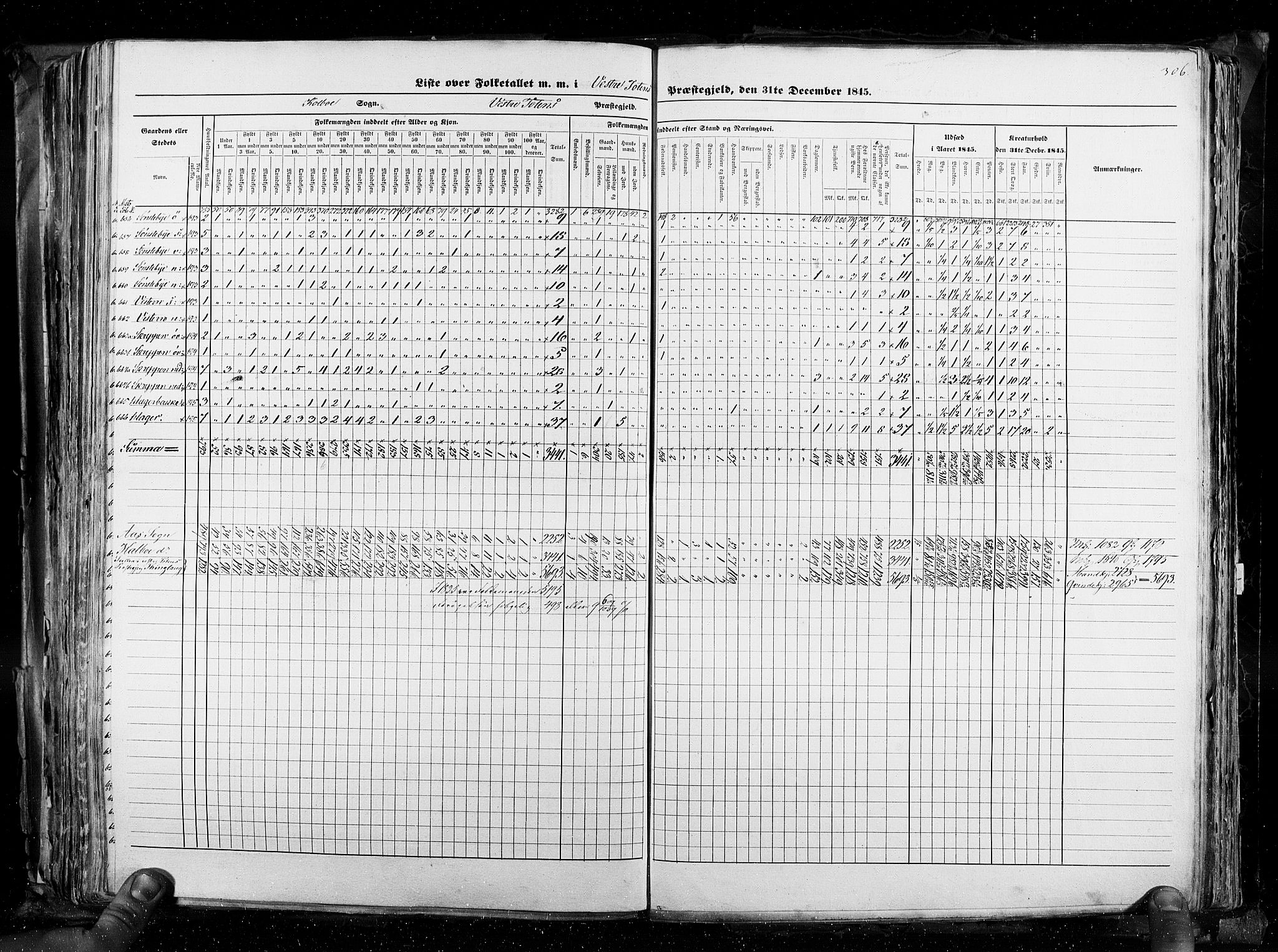 RA, Census 1845, vol. 3: Hedemarken amt og Kristians amt, 1845, p. 306