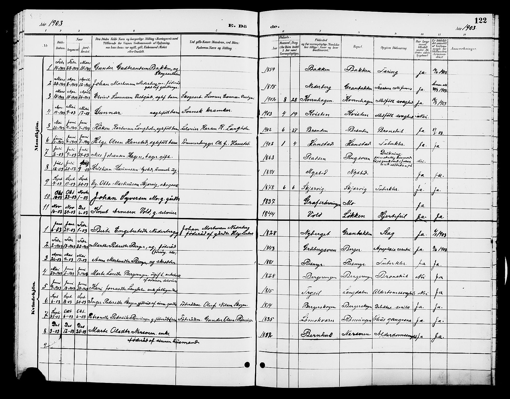 Elverum prestekontor, AV/SAH-PREST-044/H/Ha/Hab/L0007: Parish register (copy) no. 7, 1896-1914, p. 122