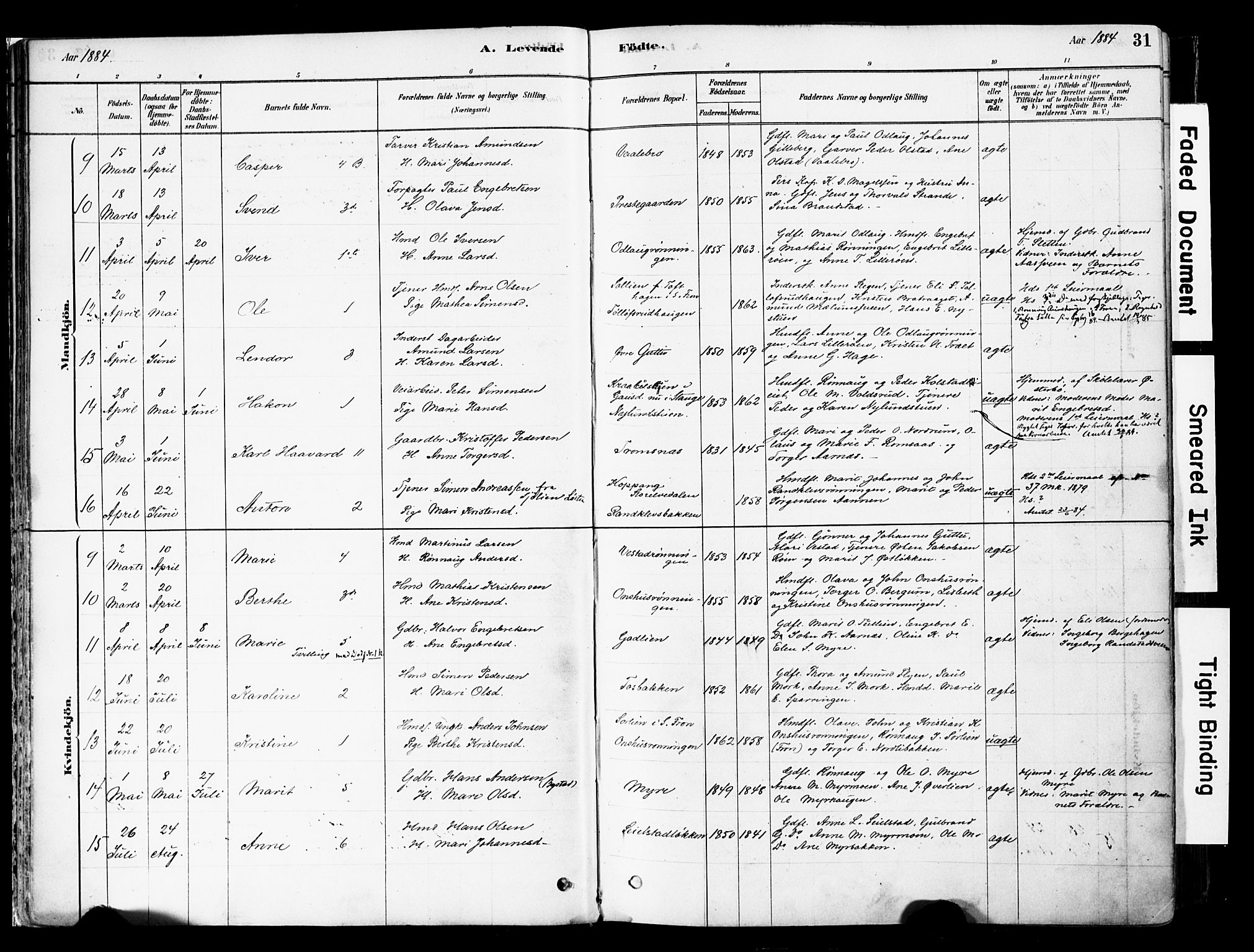 Ringebu prestekontor, AV/SAH-PREST-082/H/Ha/Haa/L0008: Parish register (official) no. 8, 1878-1898, p. 31