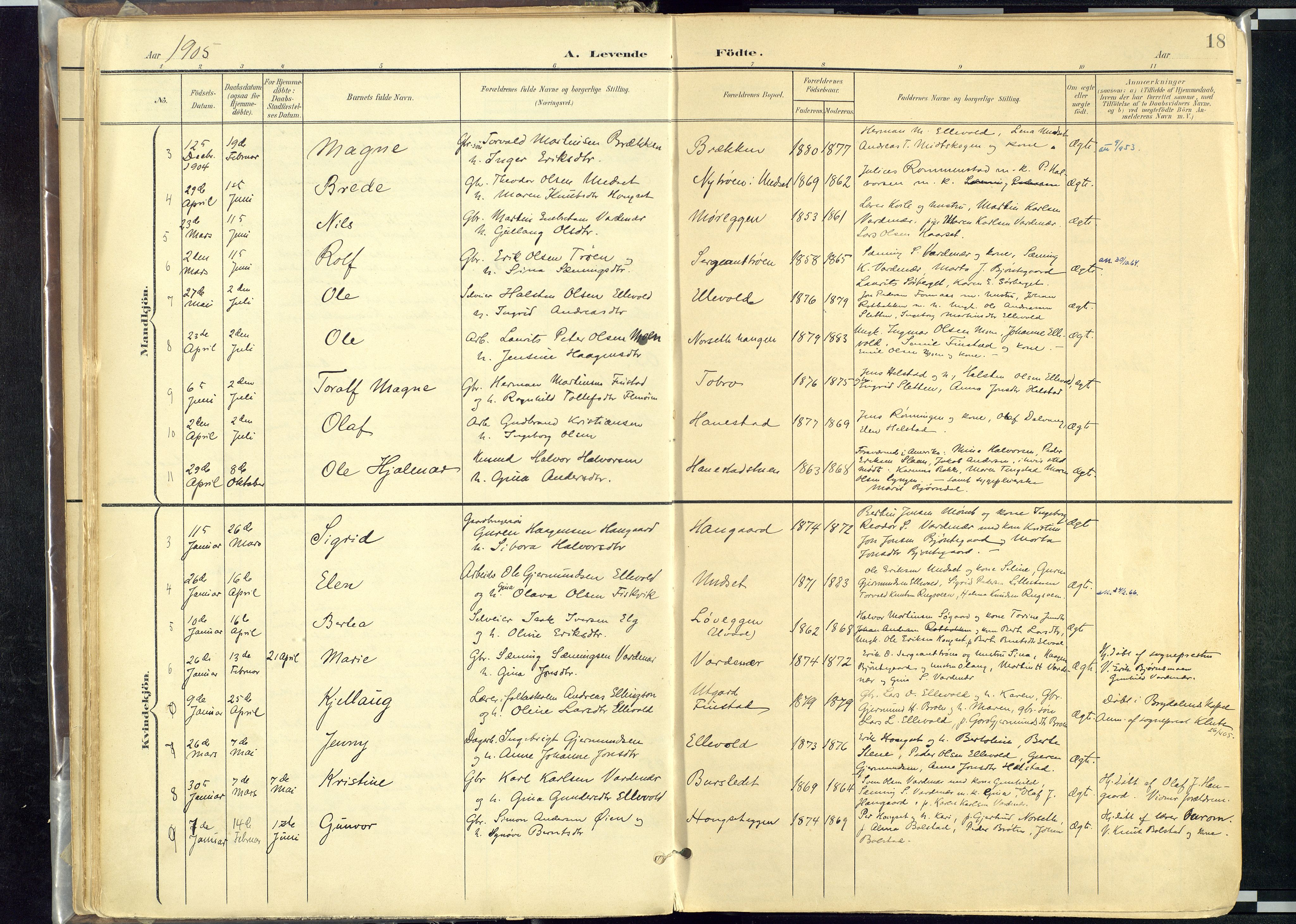 Rendalen prestekontor, SAH/PREST-054/H/Ha/Haa/L0012: Parish register (official) no. 12, 1901-1928, p. 18