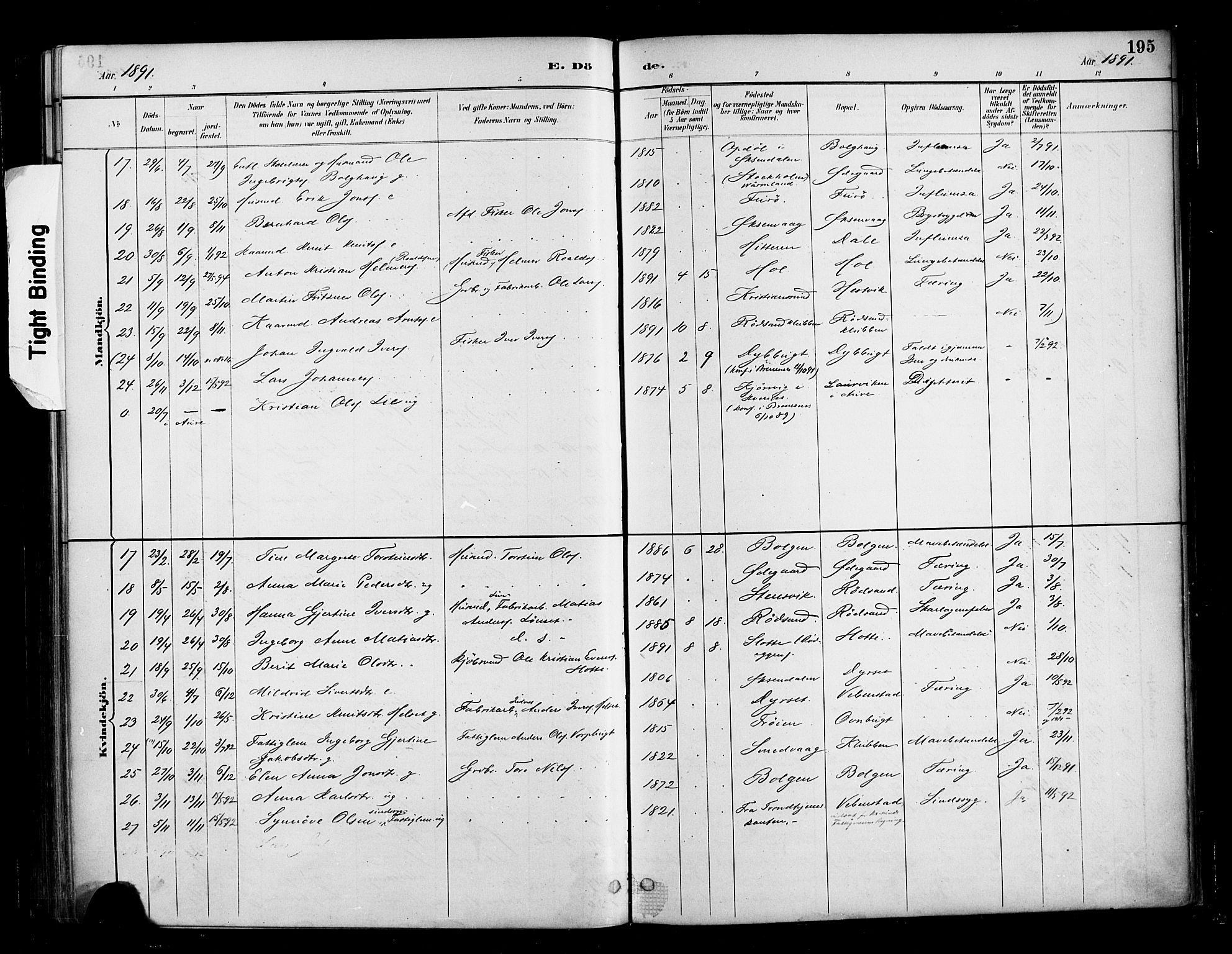 Ministerialprotokoller, klokkerbøker og fødselsregistre - Møre og Romsdal, AV/SAT-A-1454/569/L0819: Parish register (official) no. 569A05, 1885-1899, p. 195