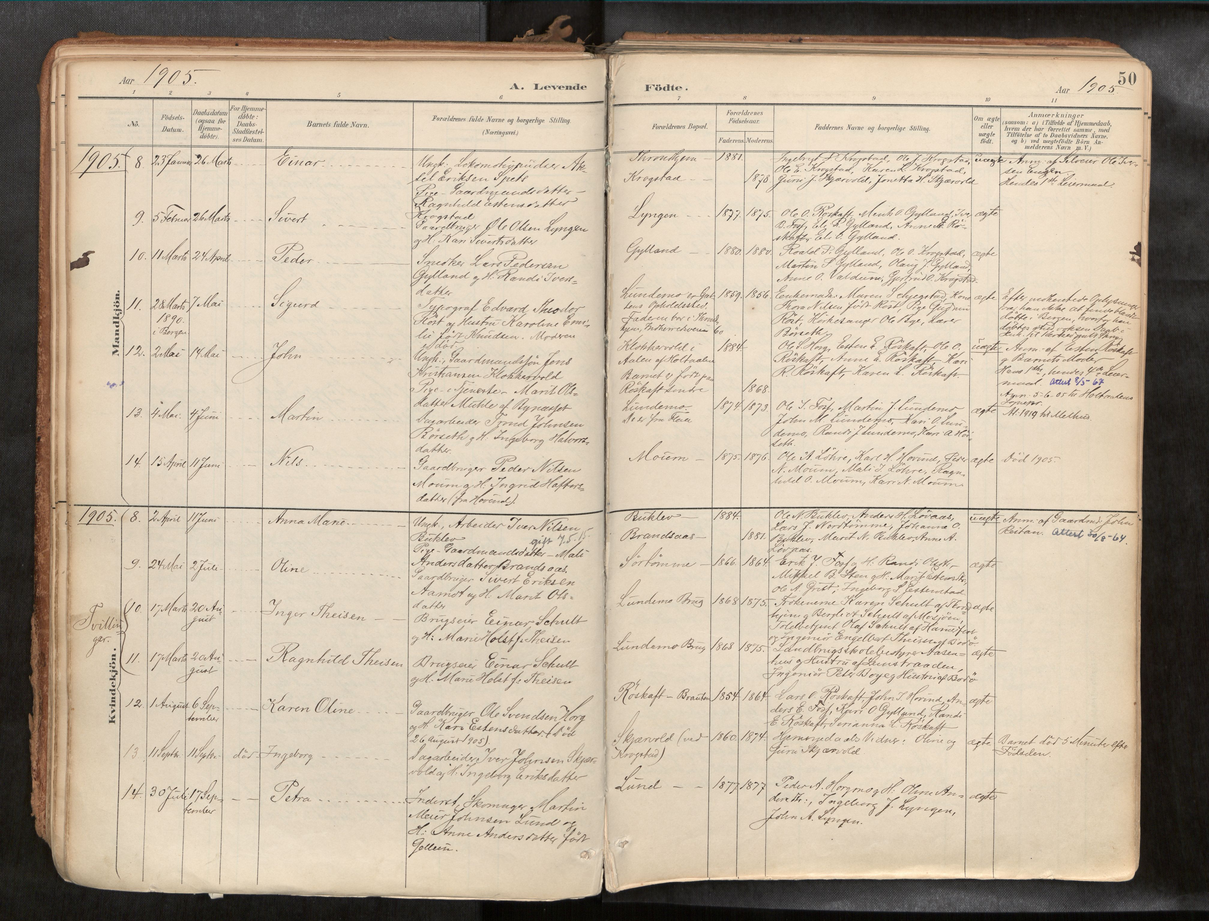 Ministerialprotokoller, klokkerbøker og fødselsregistre - Sør-Trøndelag, SAT/A-1456/692/L1105b: Parish register (official) no. 692A06, 1891-1934, p. 50