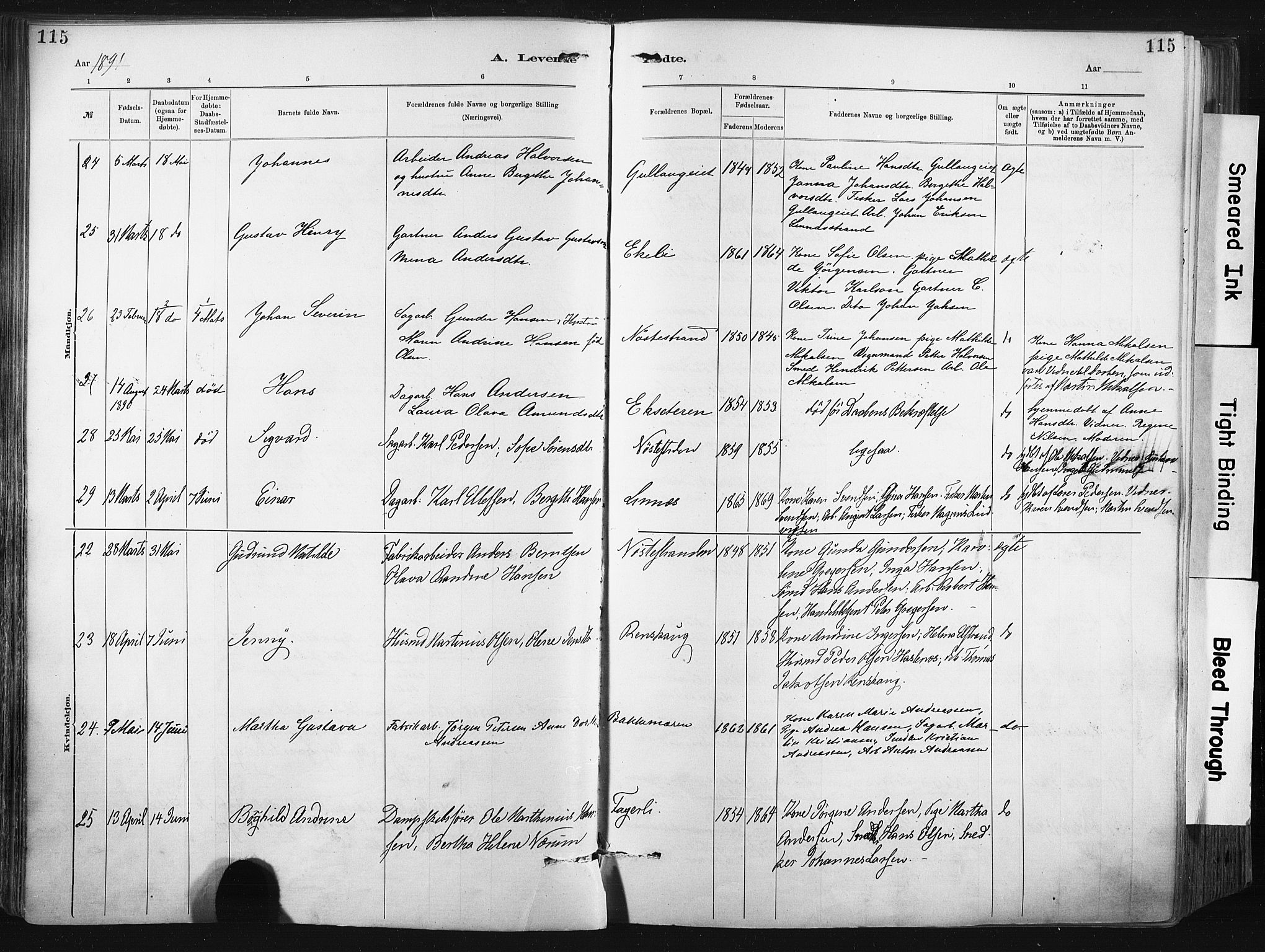 Lier kirkebøker, AV/SAKO-A-230/F/Fa/L0015: Parish register (official) no. I 15, 1883-1894, p. 115